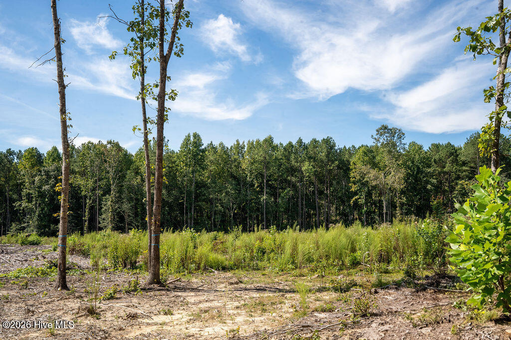 Tbd Dunhams Creek Lane Property Photo 14