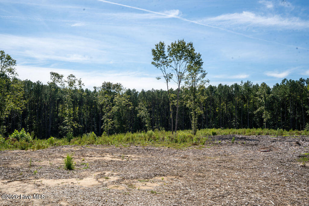 Tbd Dunhams Creek Lane Property Photo 15