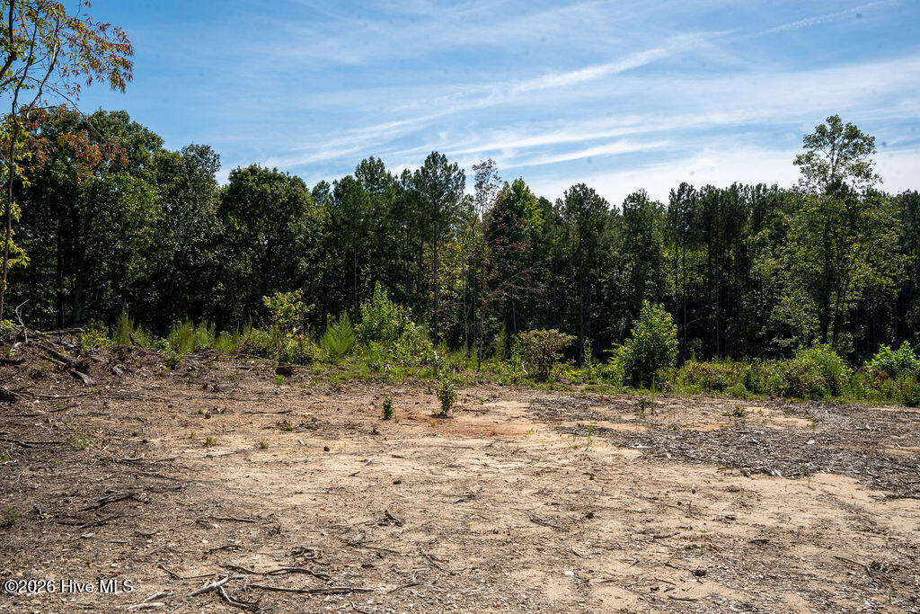 Tbd Dunhams Creek Lane Property Photo 16