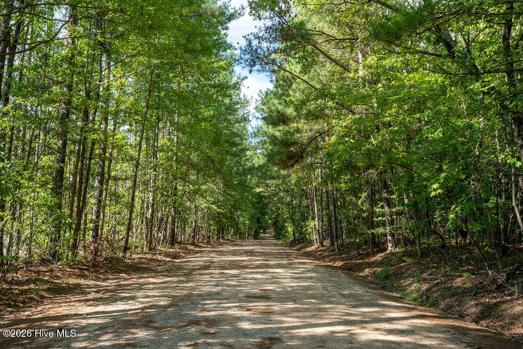 Tbd Dunhams Creek Lane Property Photo 17