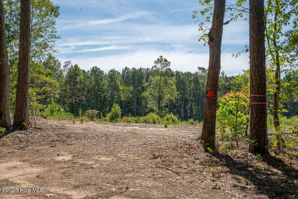 Tbd Dunhams Creek Lane Property Photo 18