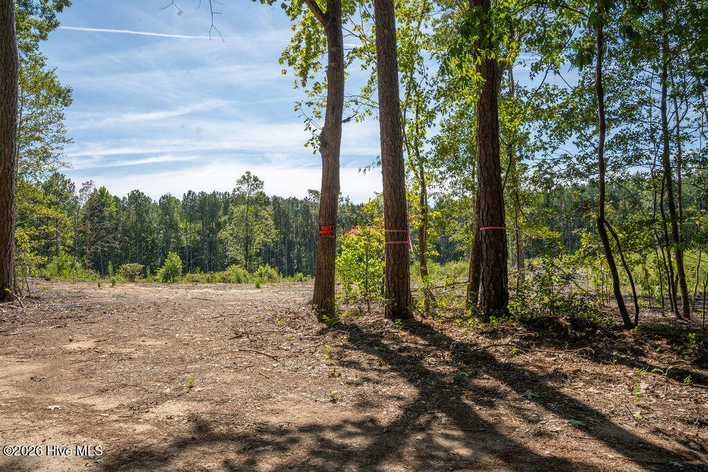 Tbd Dunhams Creek Lane Property Photo 19