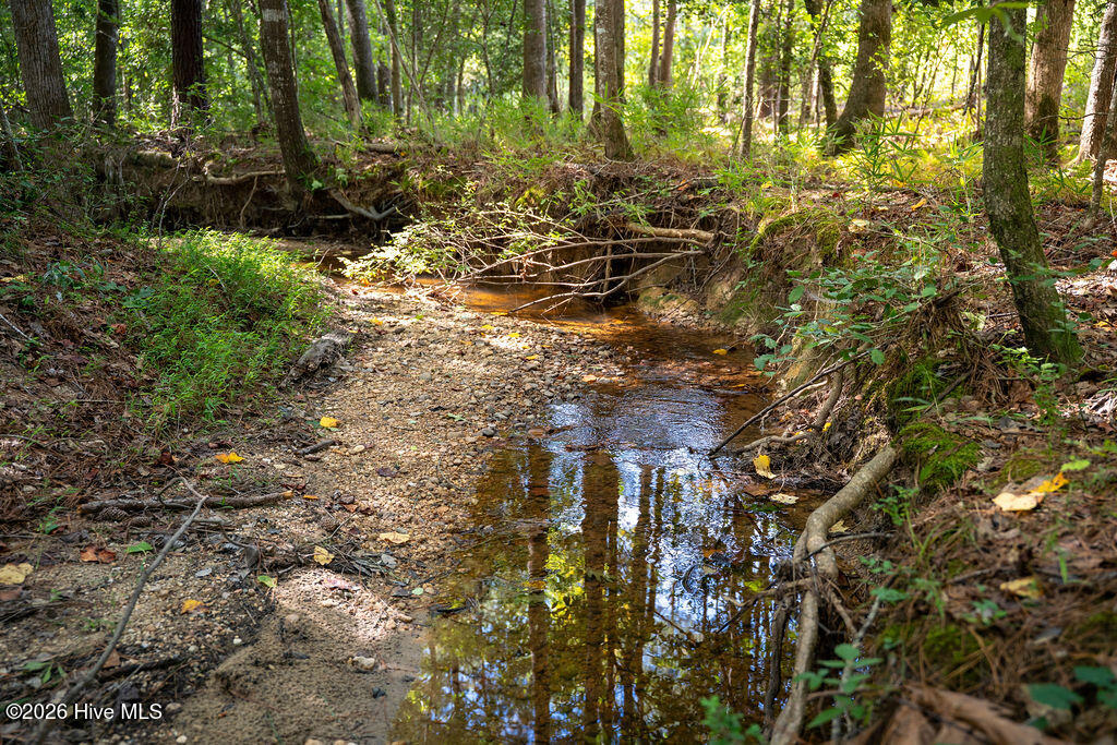 Tbd Dunhams Creek Lane Property Photo 20