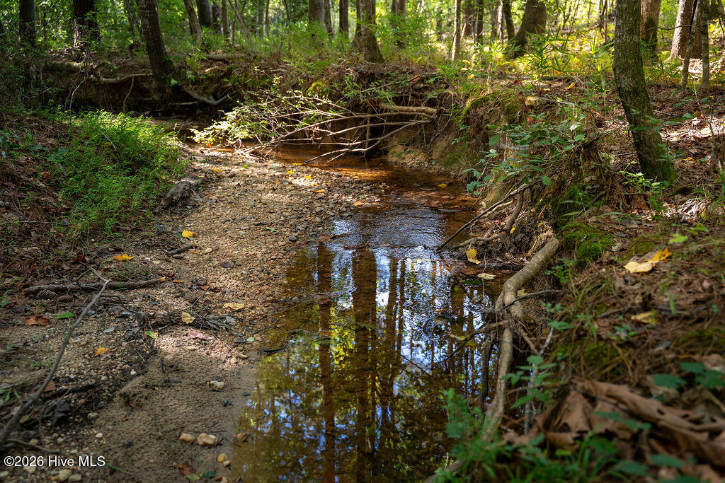 Tbd Dunhams Creek Lane Property Photo 21