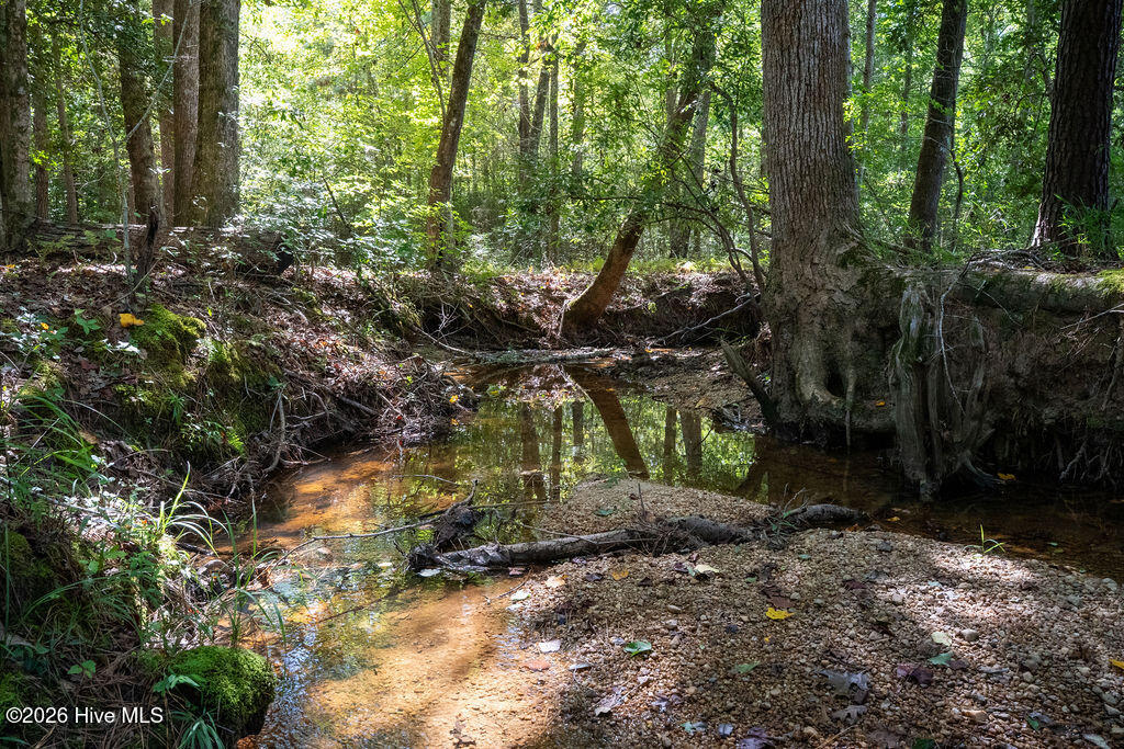 Tbd Dunhams Creek Lane Property Photo 22