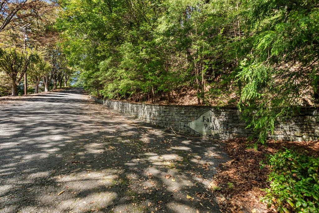 182.04 Fain Peak Property Photo 2