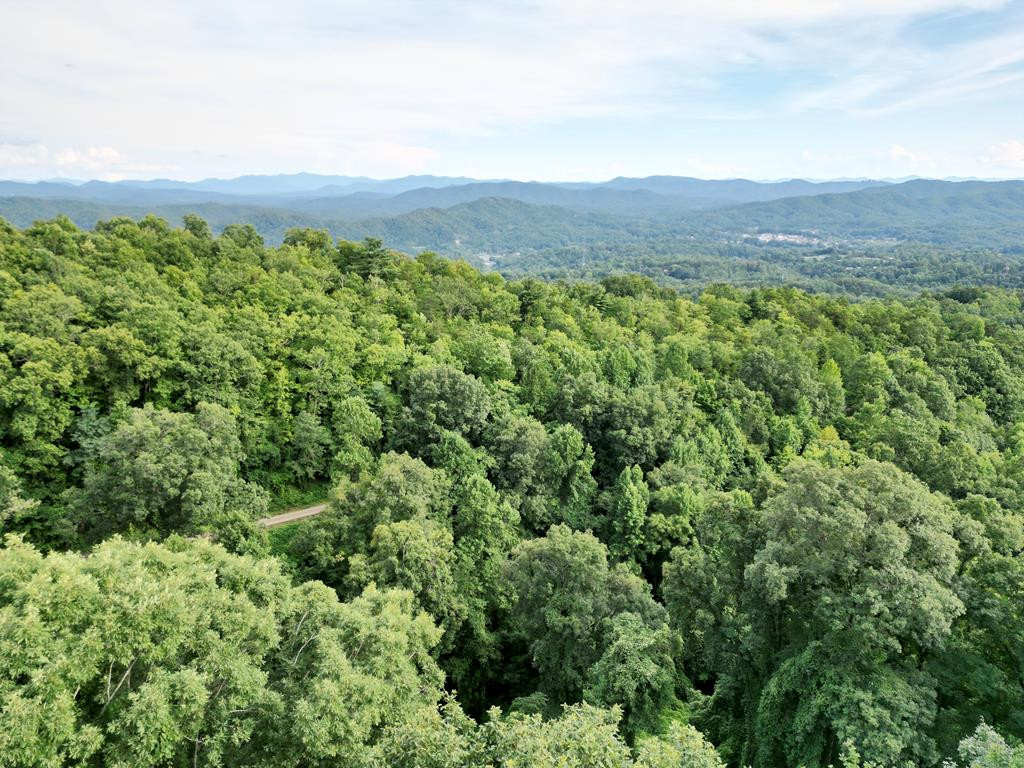 182.04 Fain Peak Property Photo 6