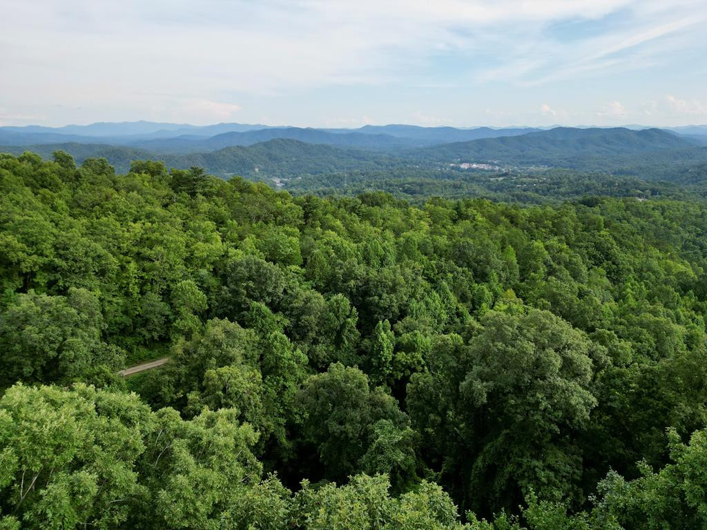 182.04 Fain Peak Property Photo 7