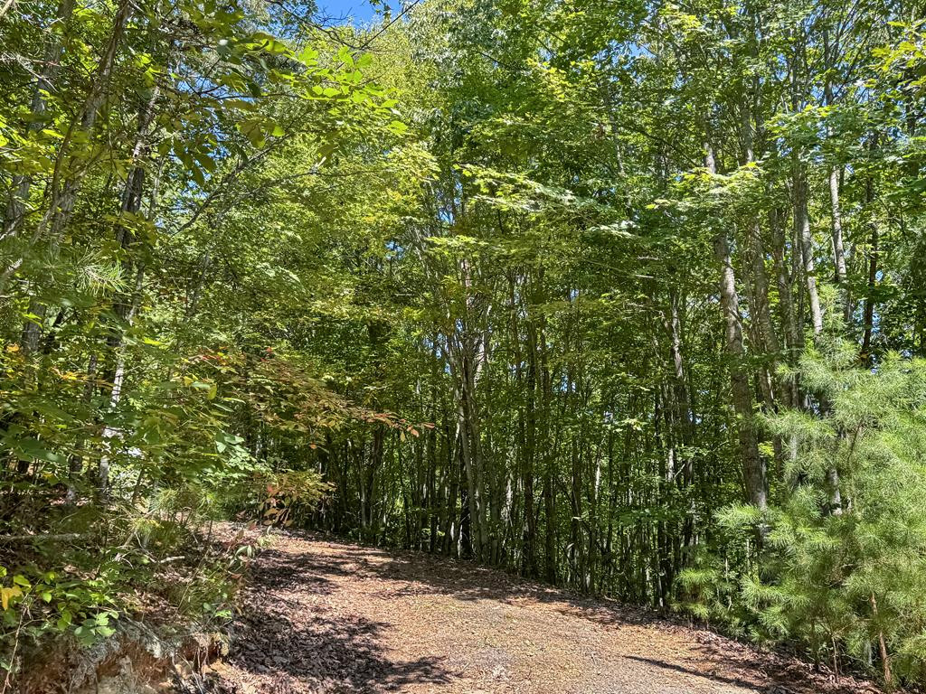 182.04 Fain Peak Property Photo 9