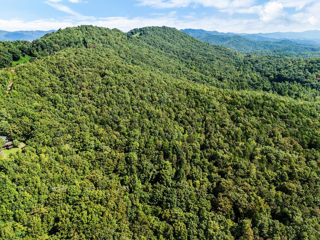 182.04 Fain Peak Property Photo 10