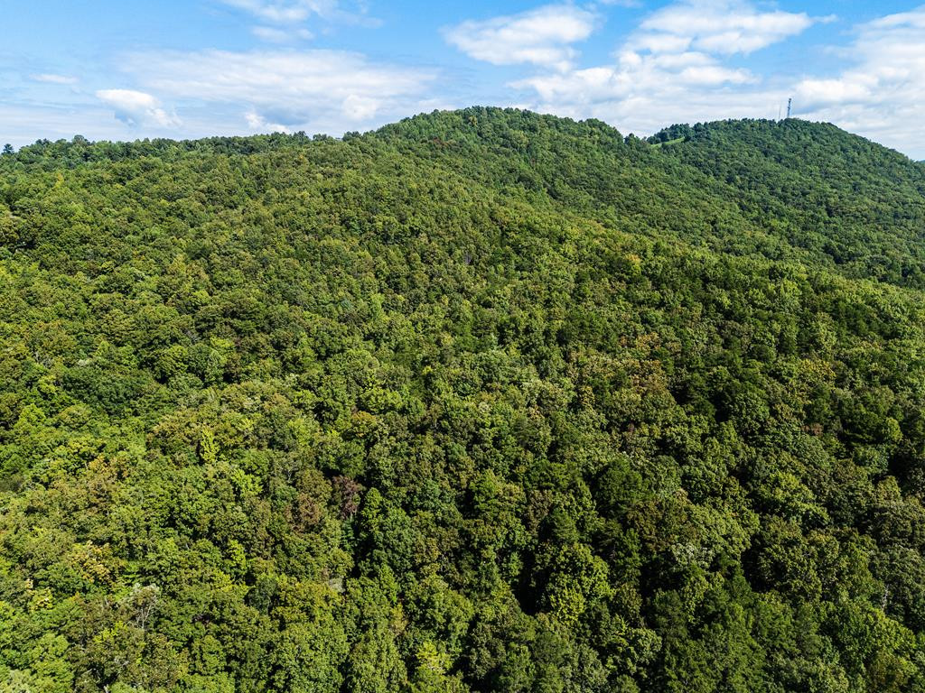 182.04 Fain Peak Property Photo 11