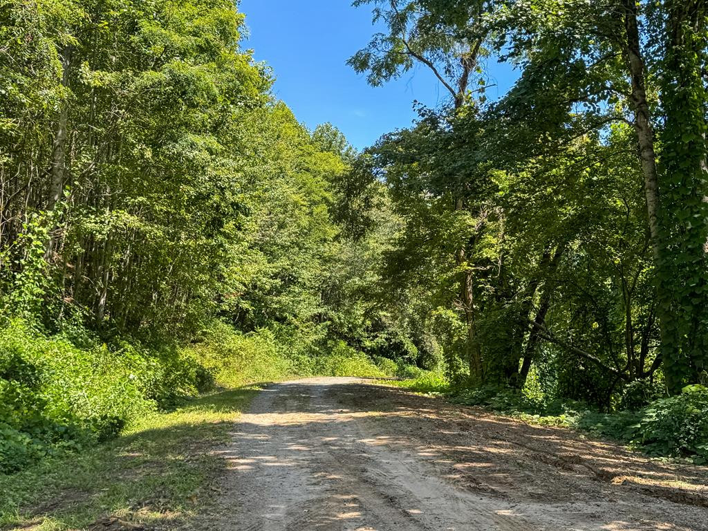 182.04 Fain Peak Property Photo 12