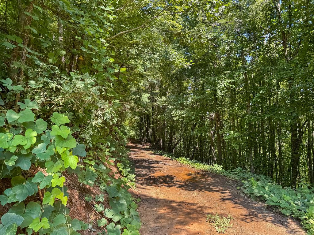 182.04 Fain Peak Property Photo 14