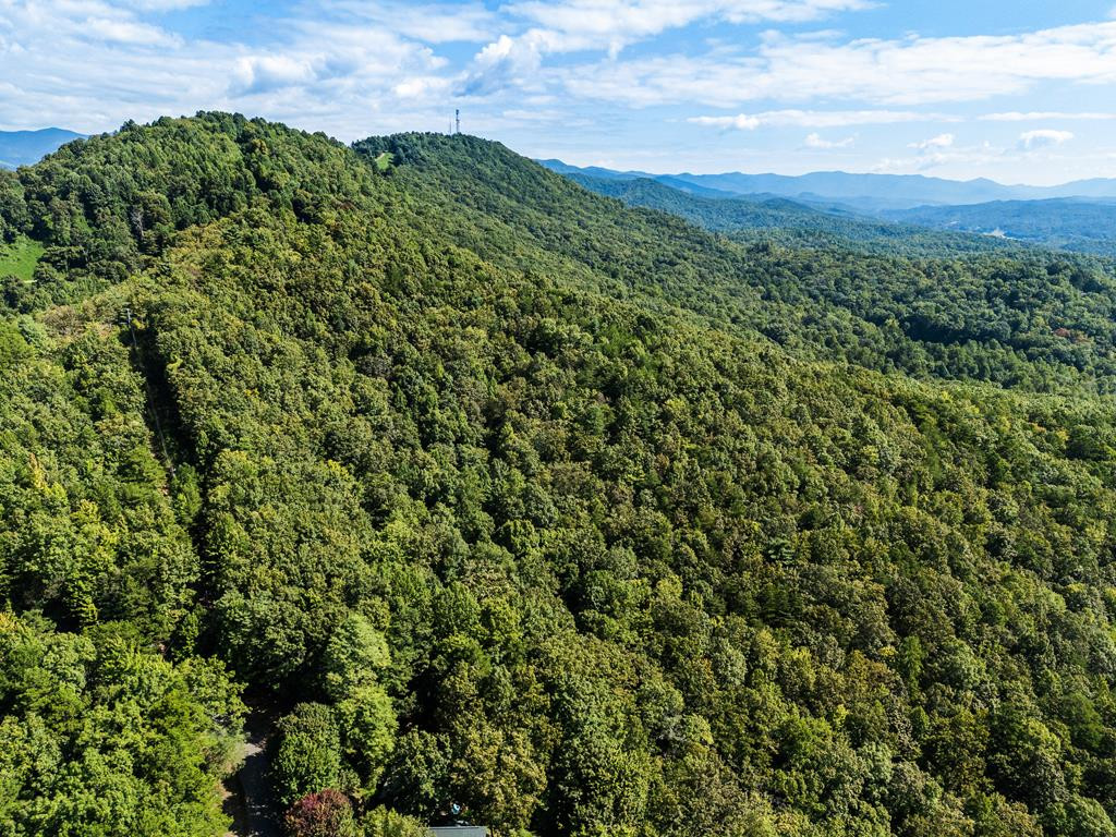 182.04 Fain Peak Property Photo 15