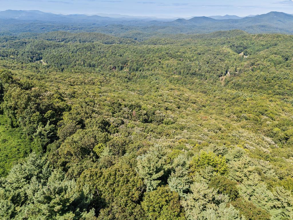 182.04 Fain Peak Property Photo 19
