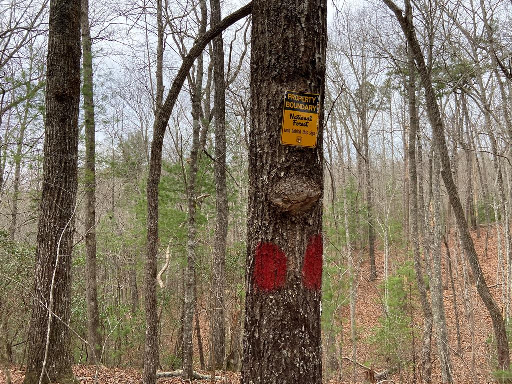 182.04 Fain Peak Property Photo 21