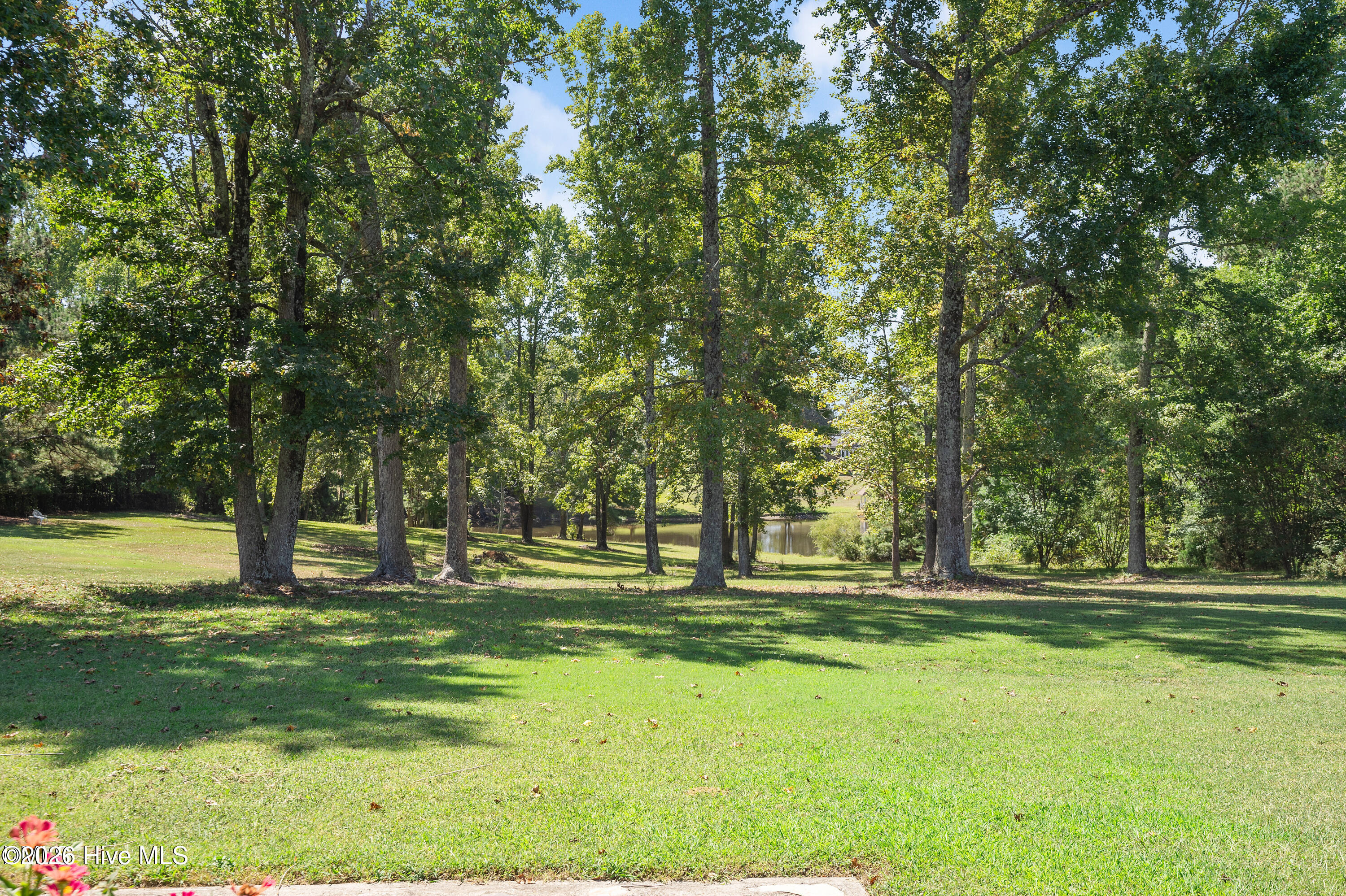 285 Wheeler Drive Property Photo 14