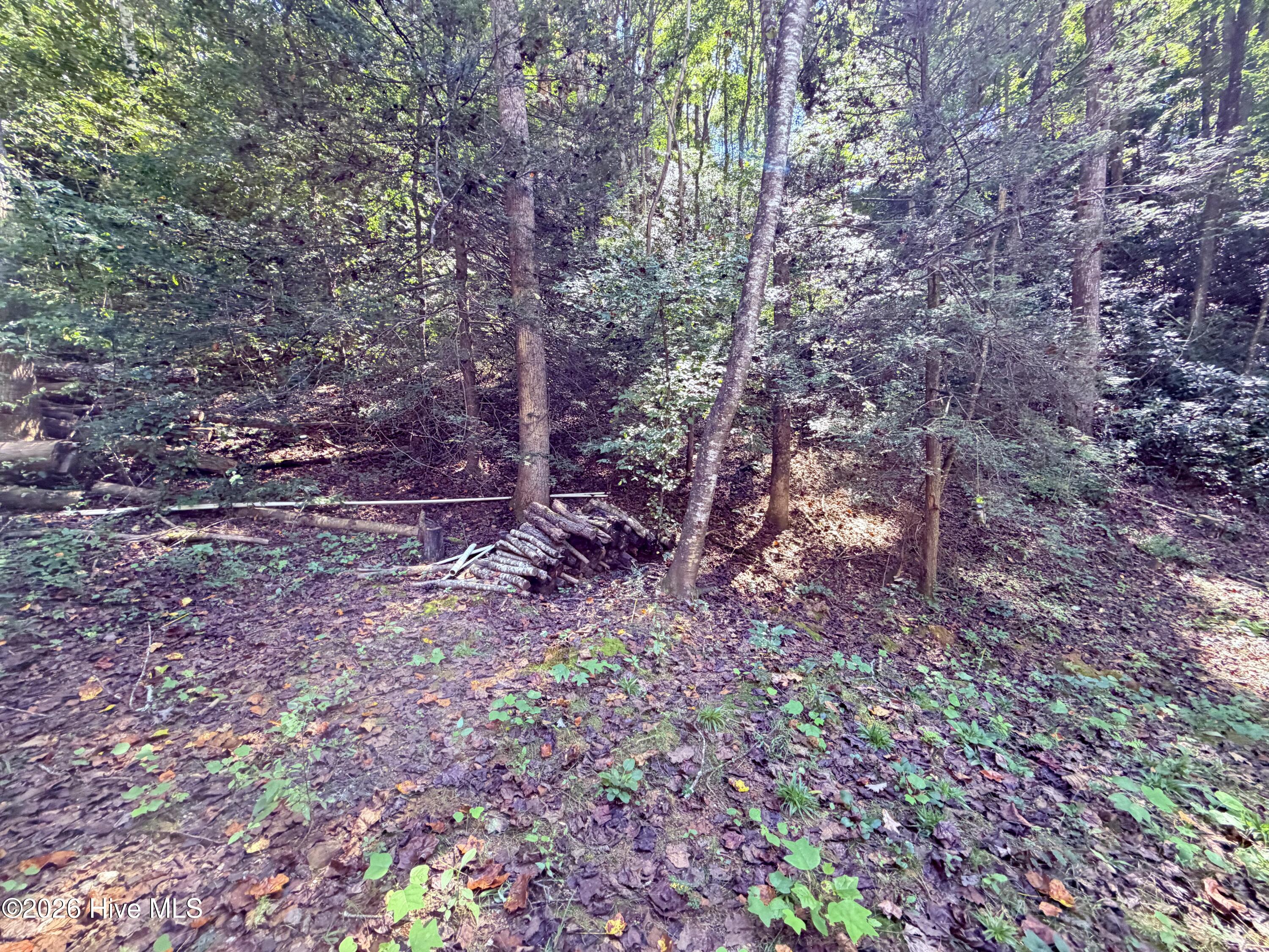 6309 Fairview Road Property Photo 13