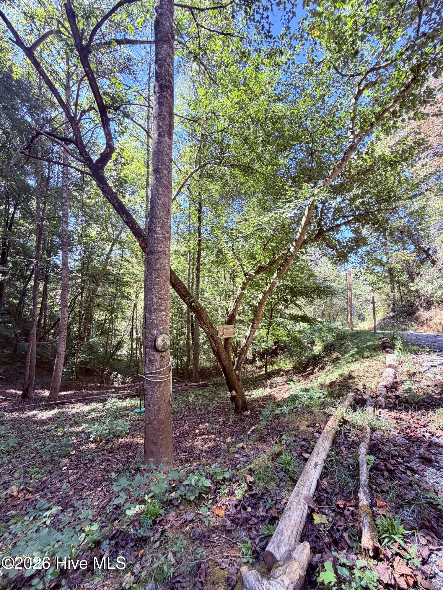 6309 Fairview Road Property Photo 14