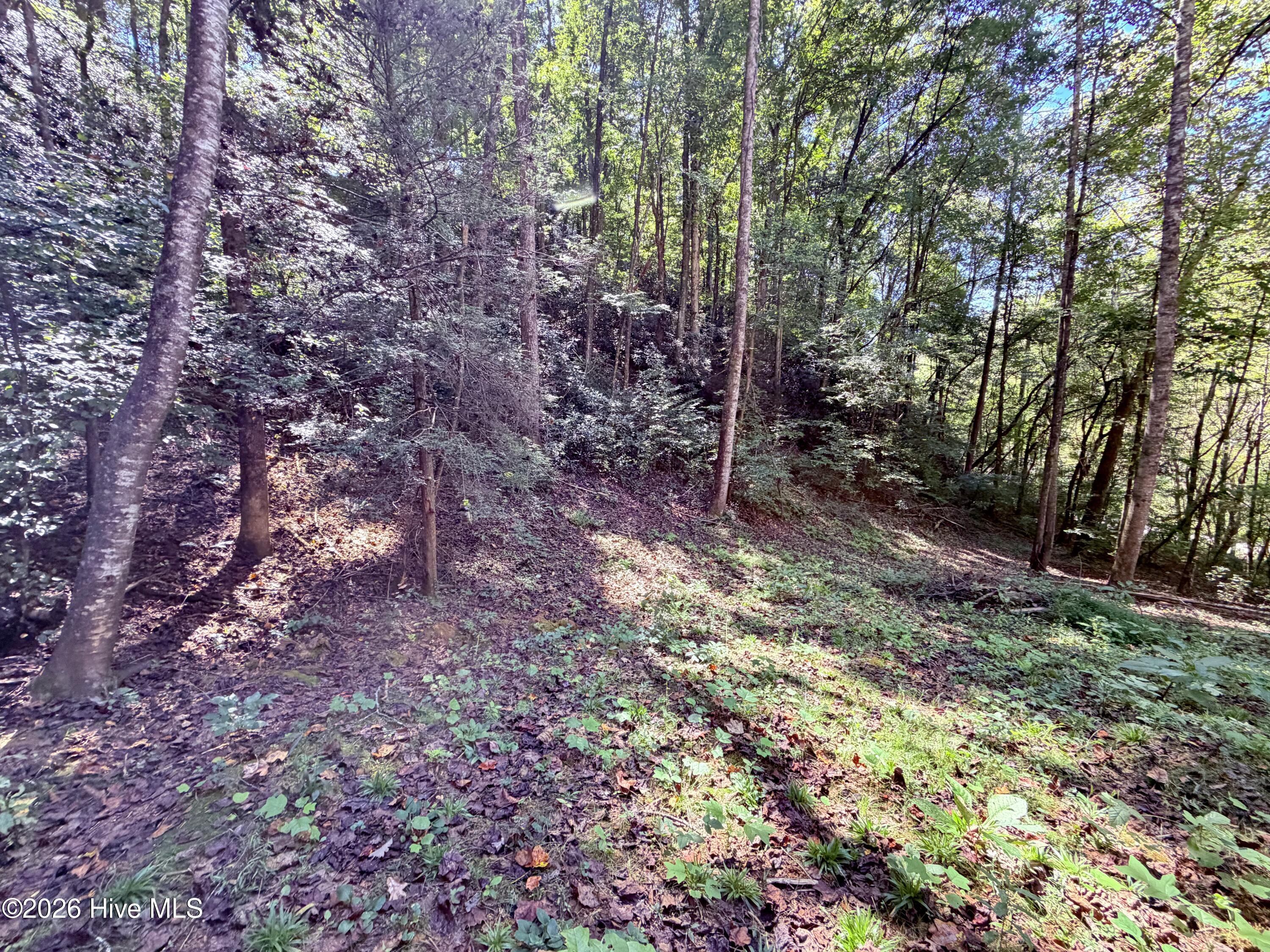 6309 Fairview Road Property Photo 15