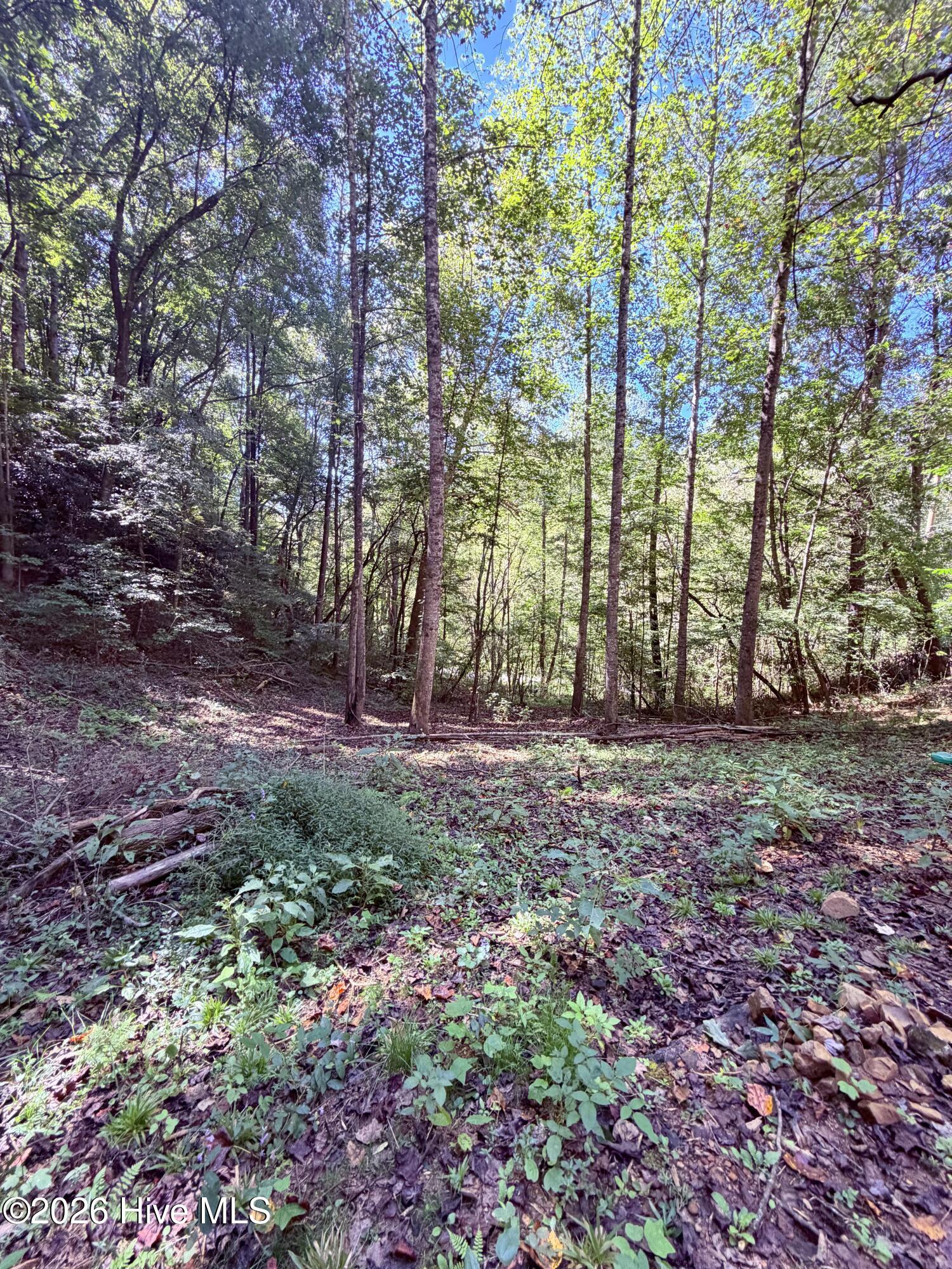 6309 Fairview Road Property Photo 16