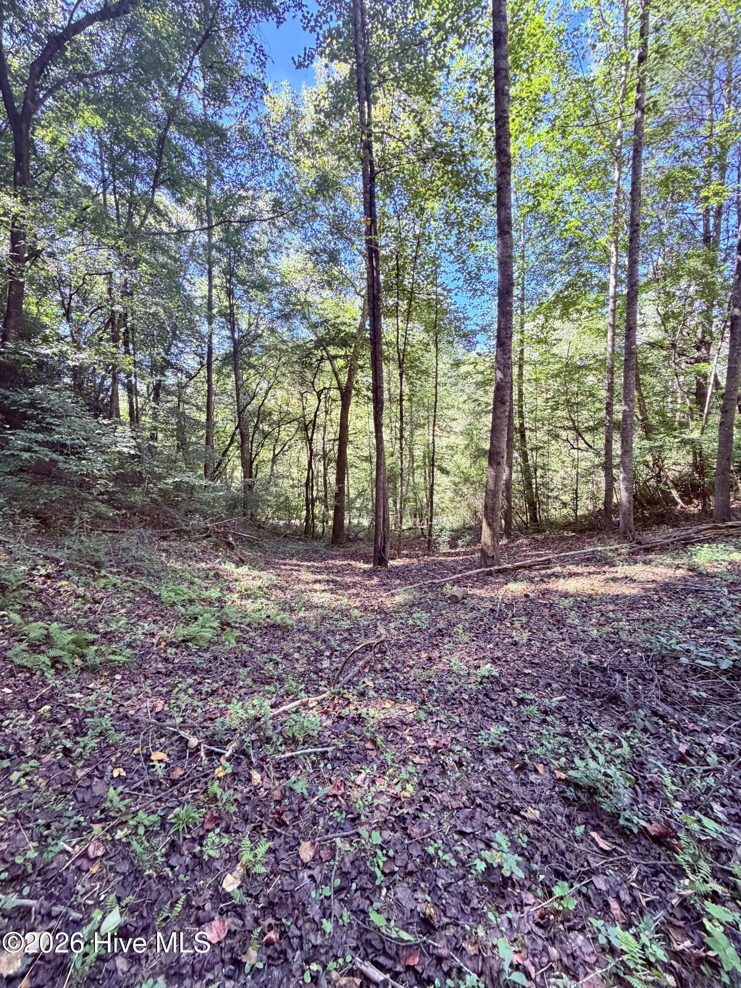 6309 Fairview Road Property Photo 17