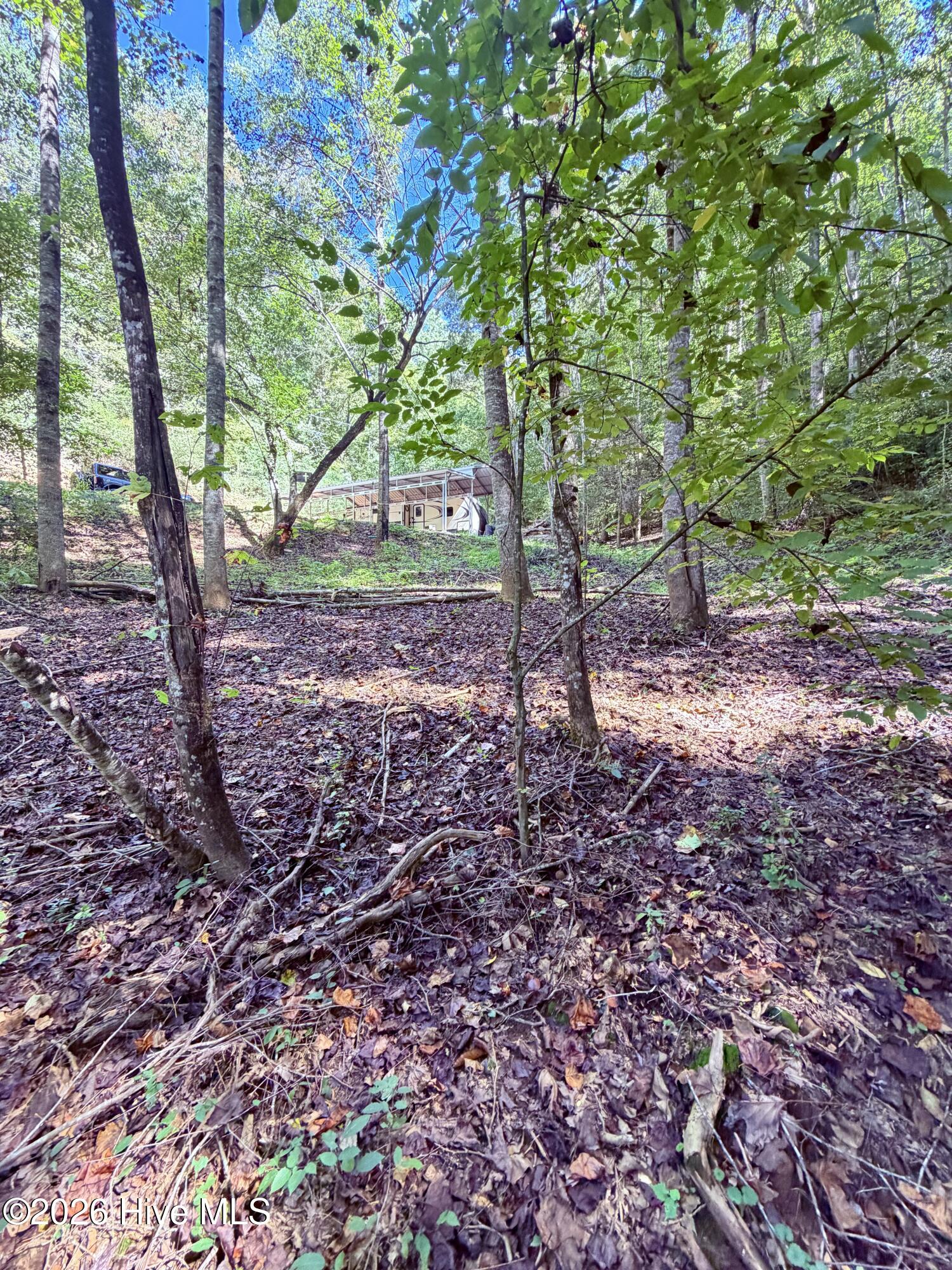 6309 Fairview Road Property Photo 18