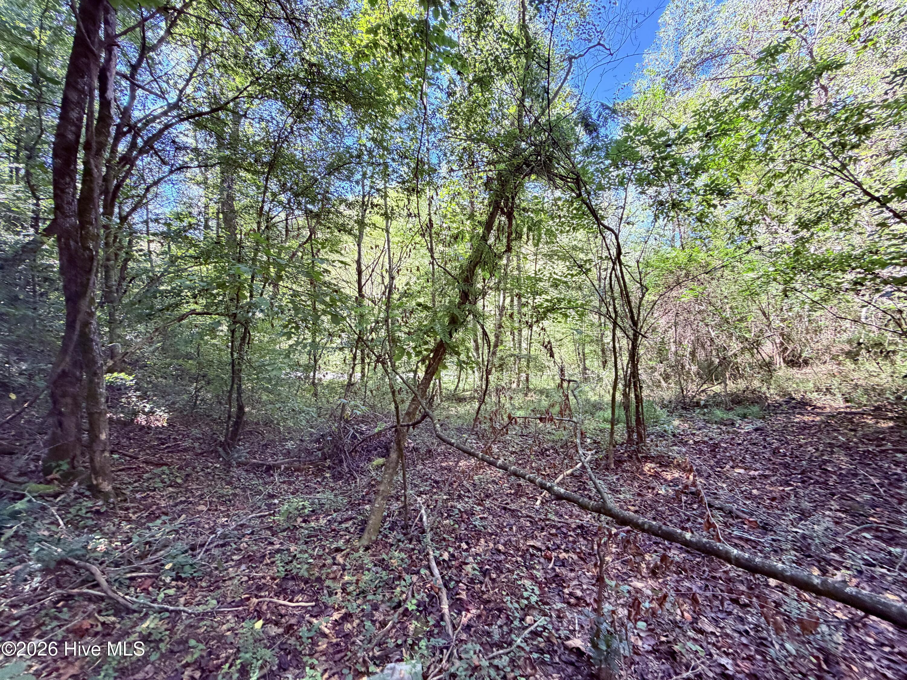 6309 Fairview Road Property Photo 19