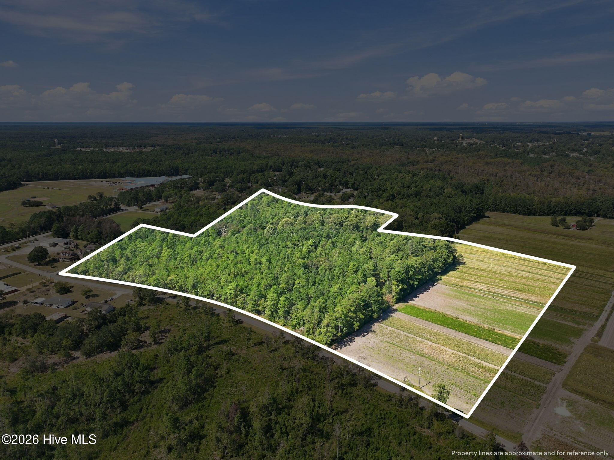 000 Willis Farm Tract-2 Road Property Photo 2