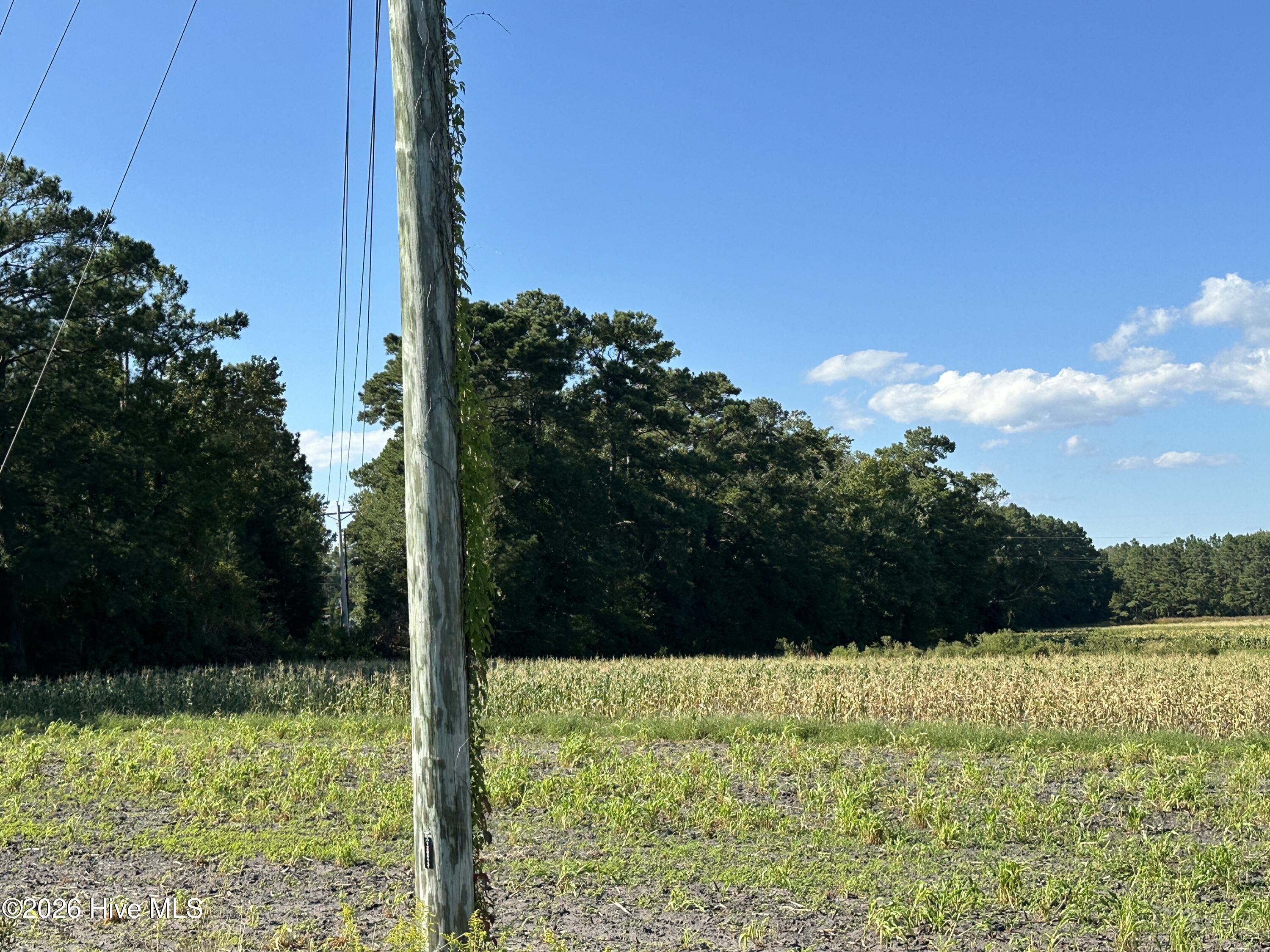 000 Willis Farm Tract-2 Road Property Photo 6