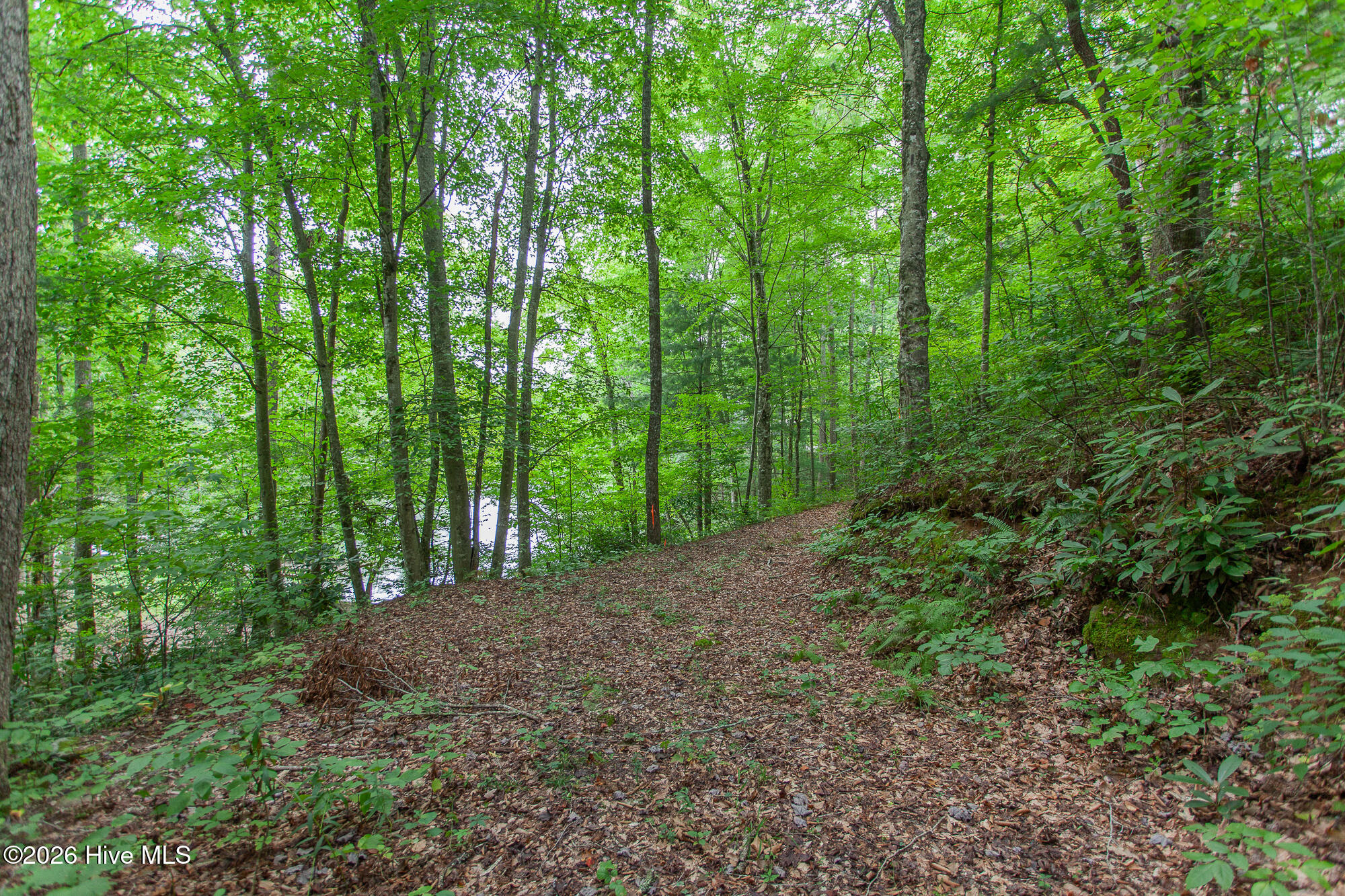 Lot 8-10 8 Property Photo 8