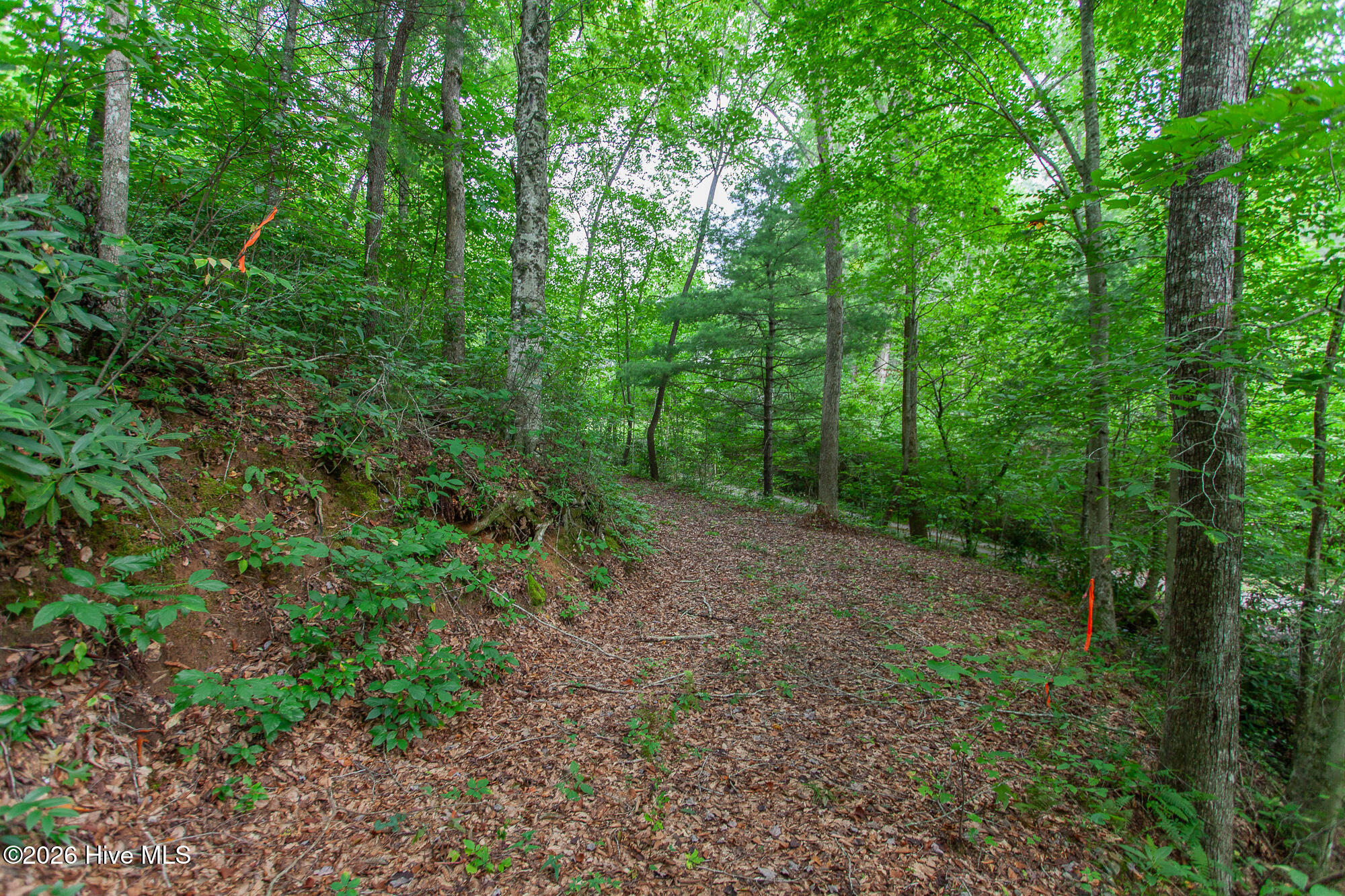 Lot 8-10 8 Property Photo 9