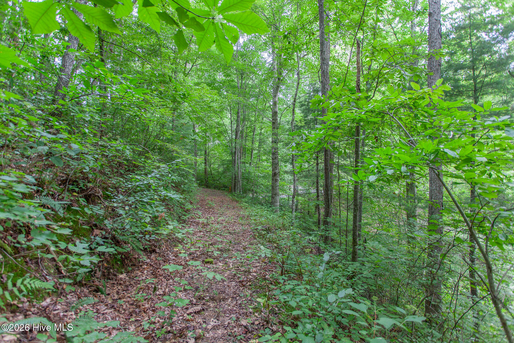 Lot 8-10 8 Property Photo 10