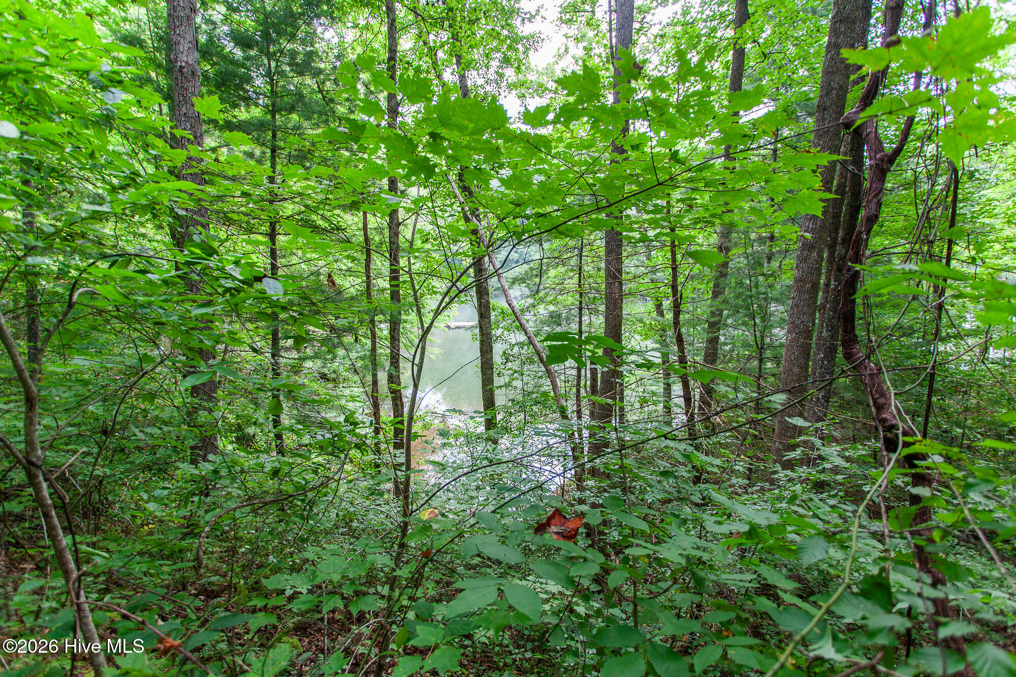 Lot 8-10 8 Property Photo 11