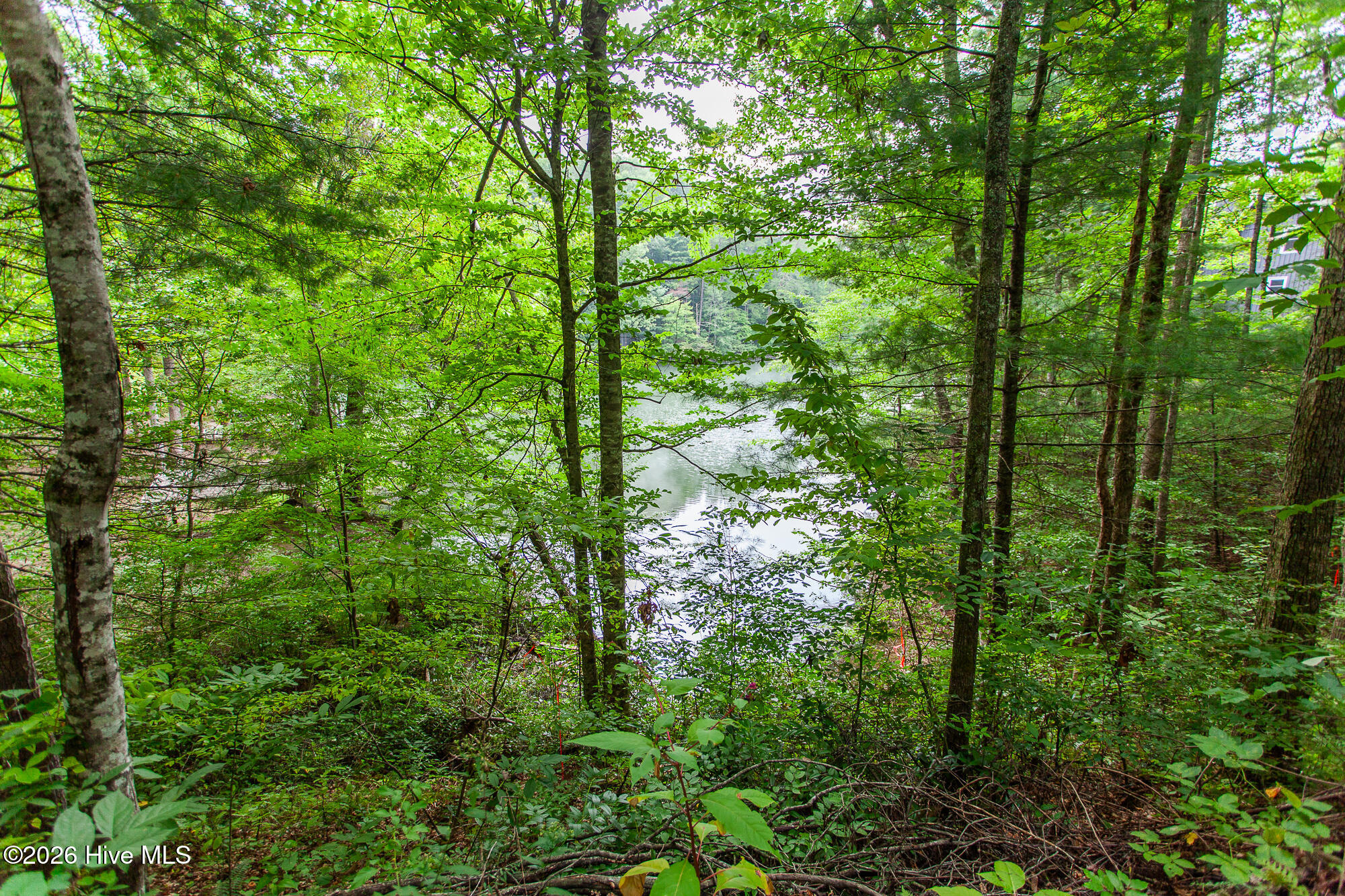 Lot 8-10 8 Property Photo 12