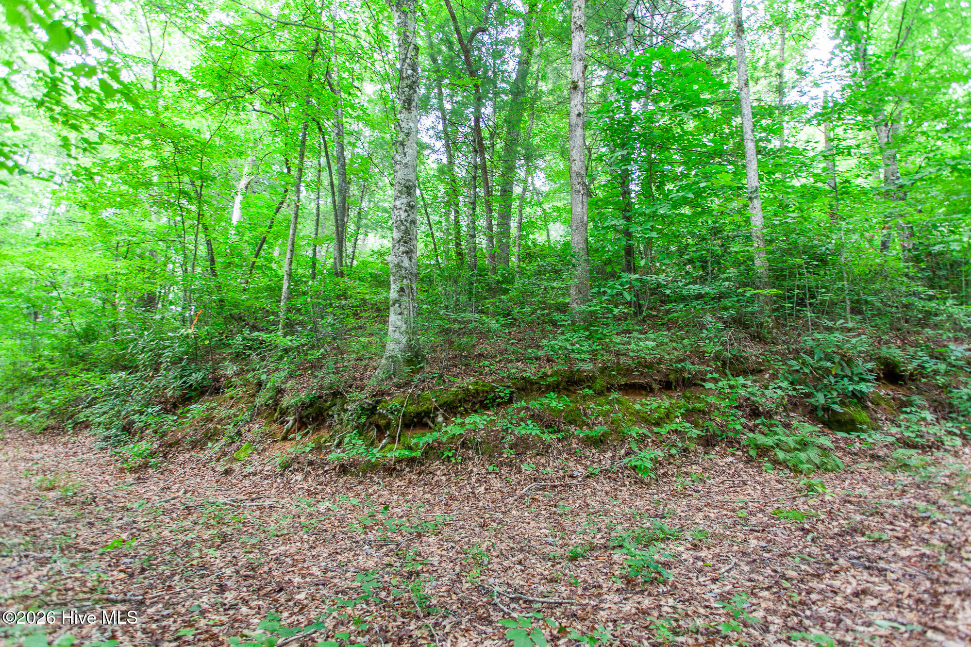 Lot 8-10 8 Property Photo 13