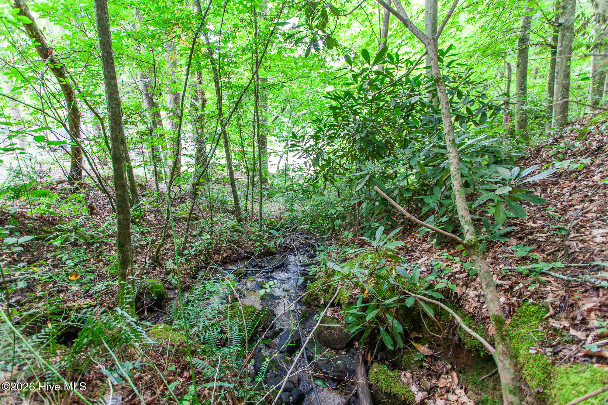 Lot 8-10 8 Property Photo 15