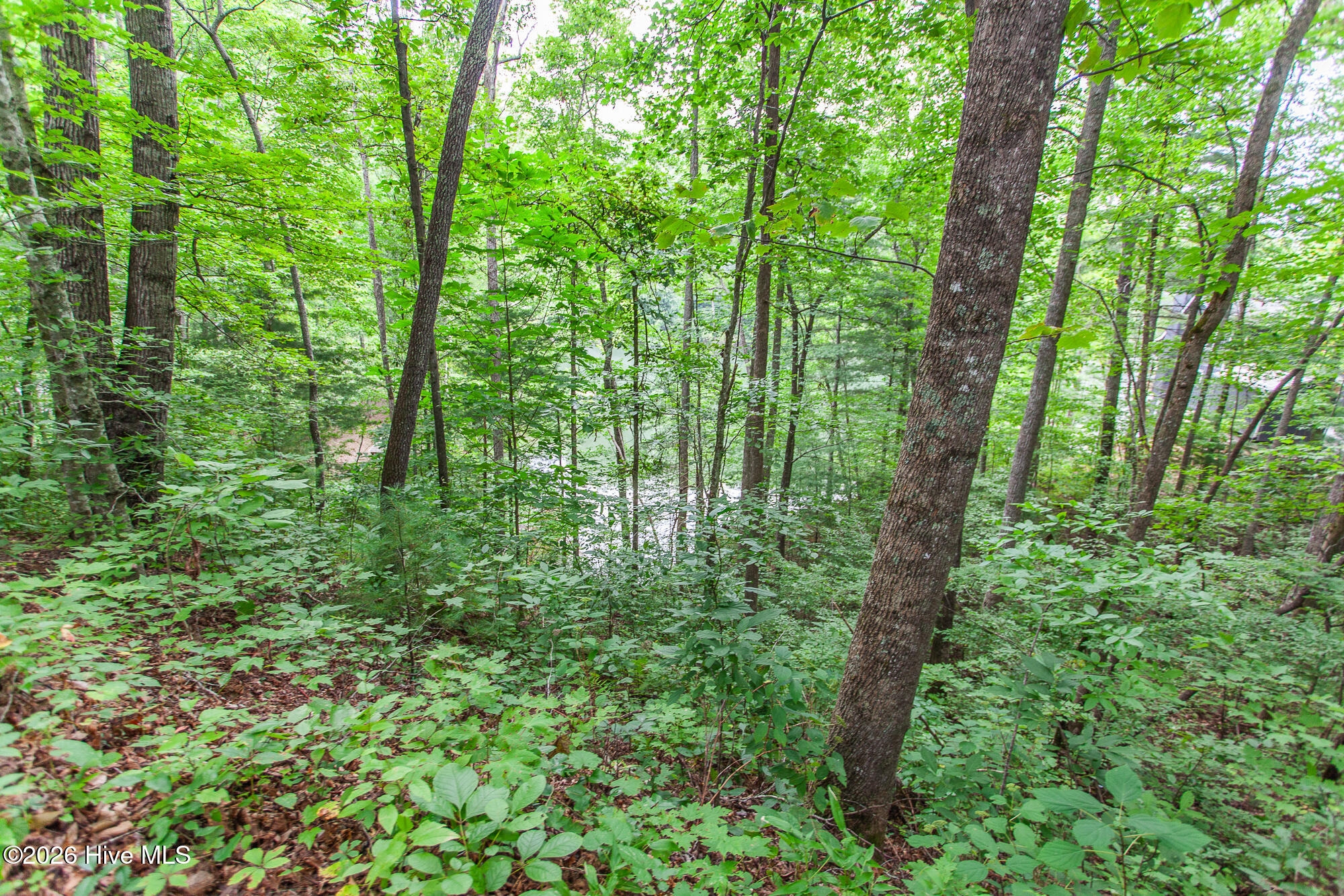 Lot 8-10 8 Property Photo 18