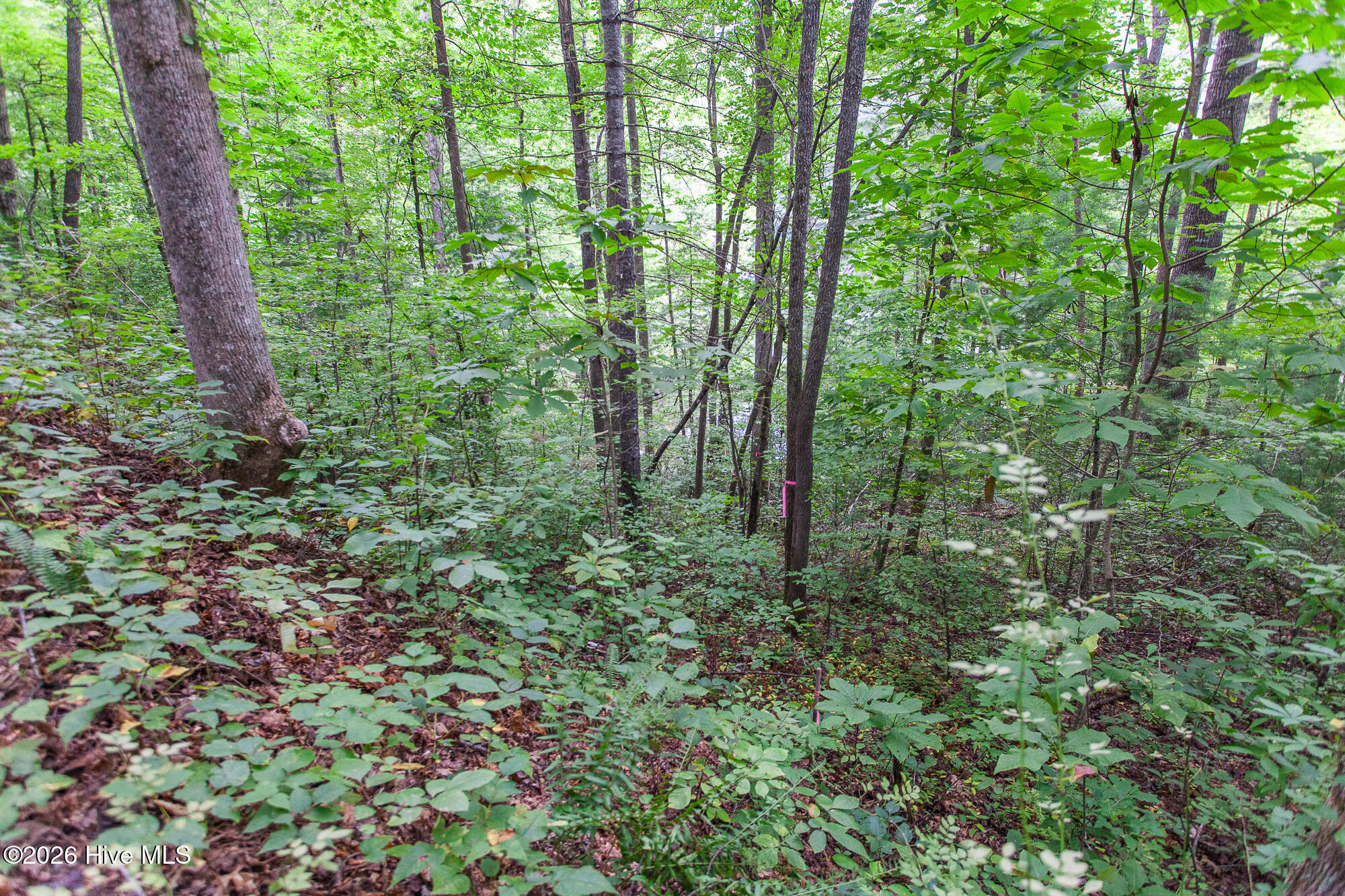 Lot 8-10 8 Property Photo 19