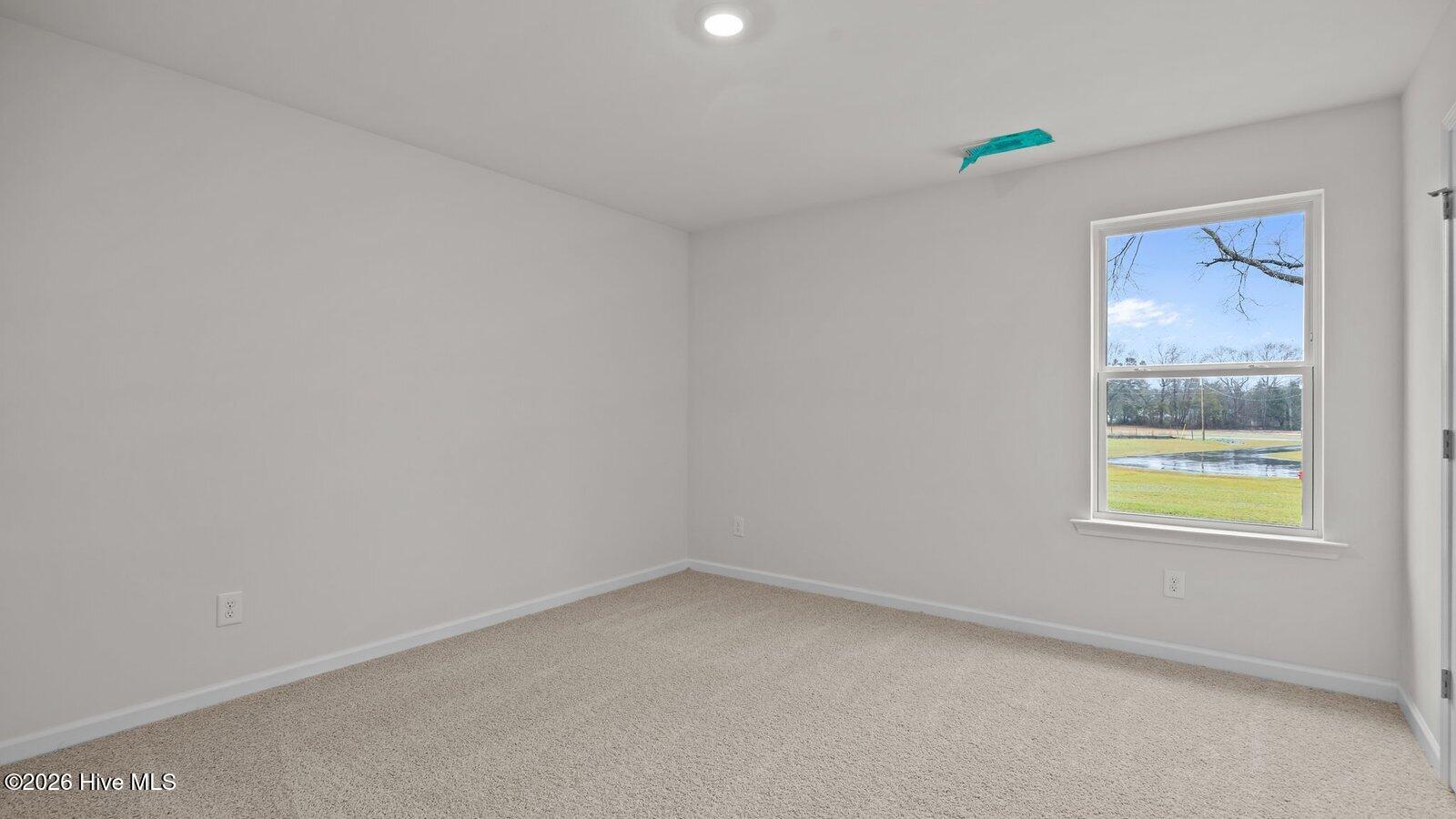 119 Claude Street Property Photo 33