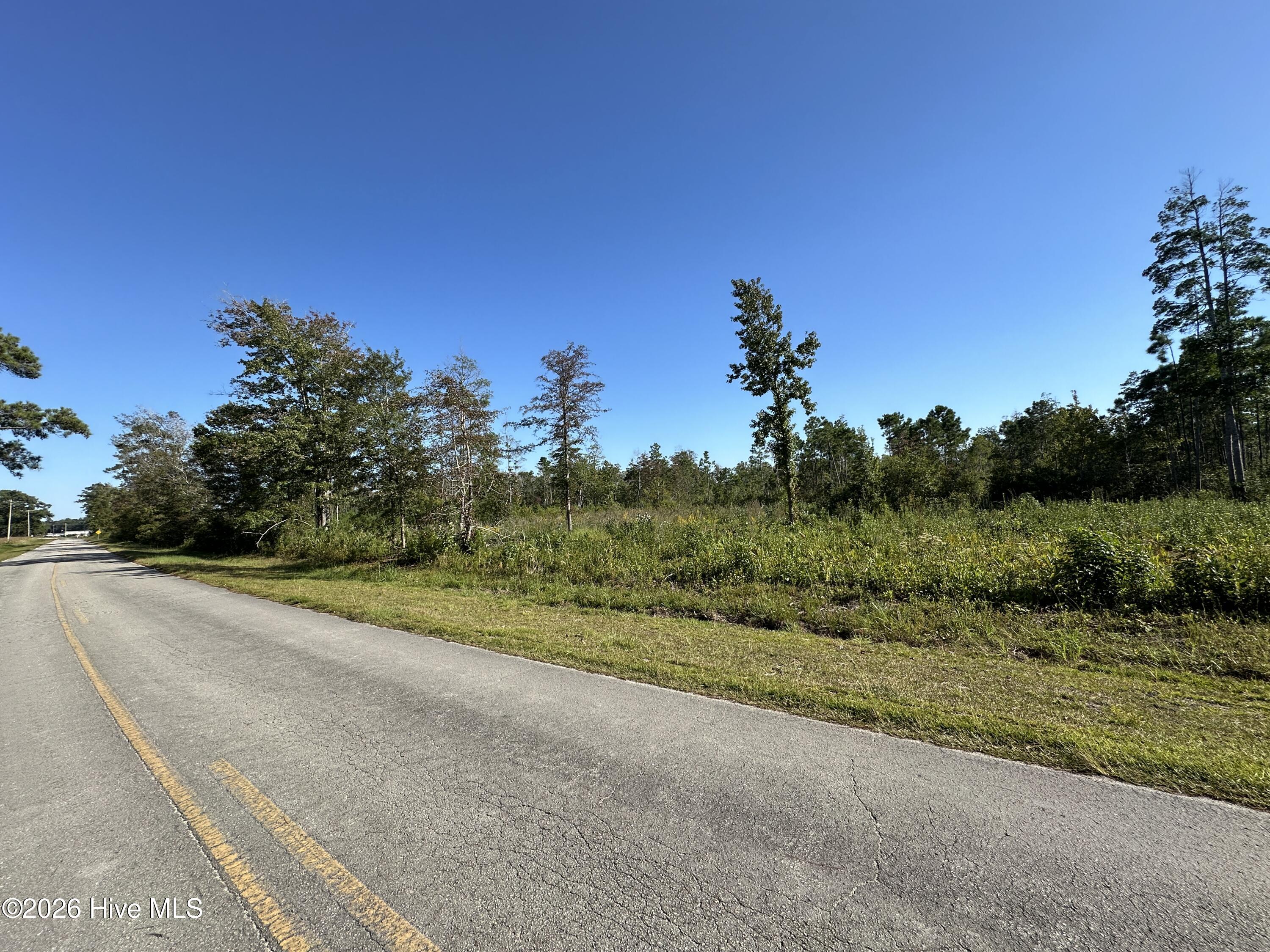 000 Willis Farm Tract-3 Road Property Photo 6