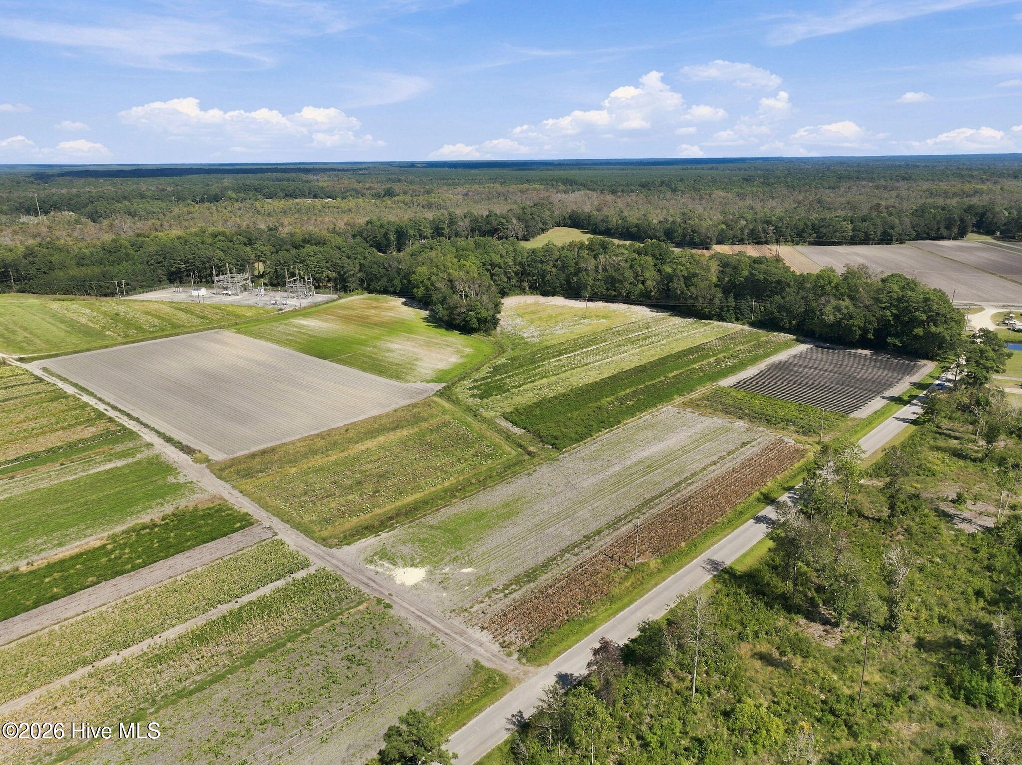 000 Willis Farm Tract-3 Road Property Photo 8