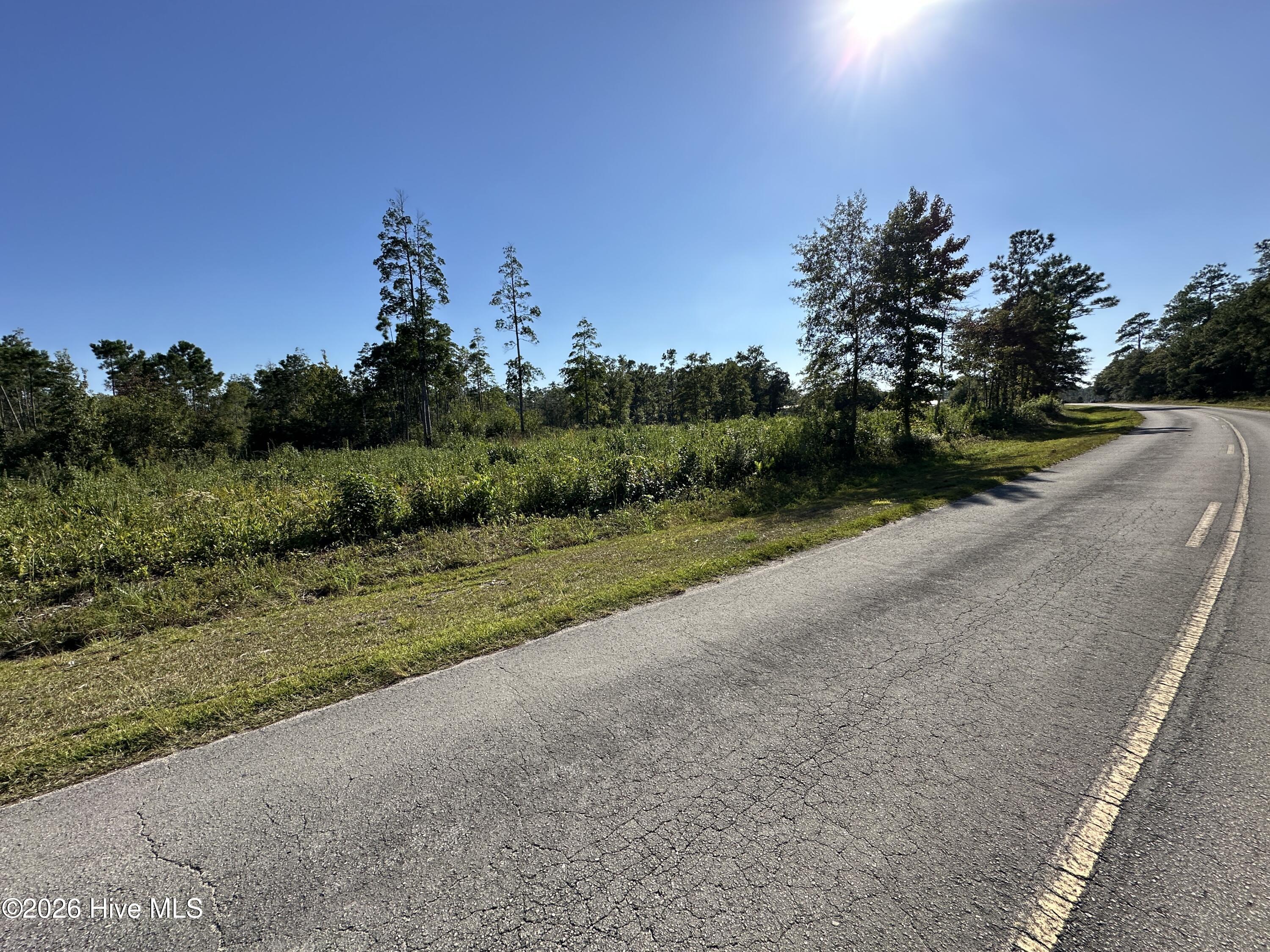 000 Willis Farm Tract-3 Road Property Photo 12