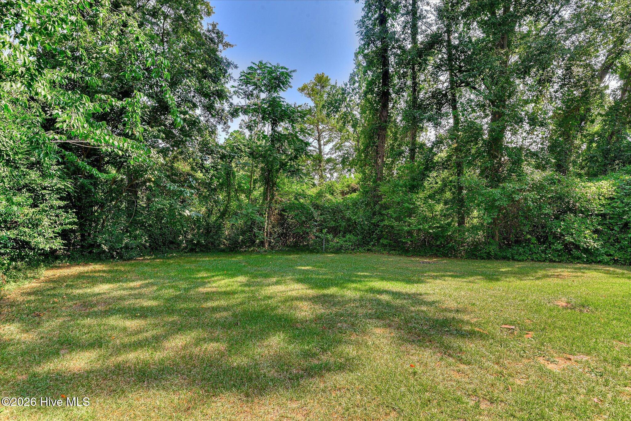 2823 Oakland Avenue Property Photo 28