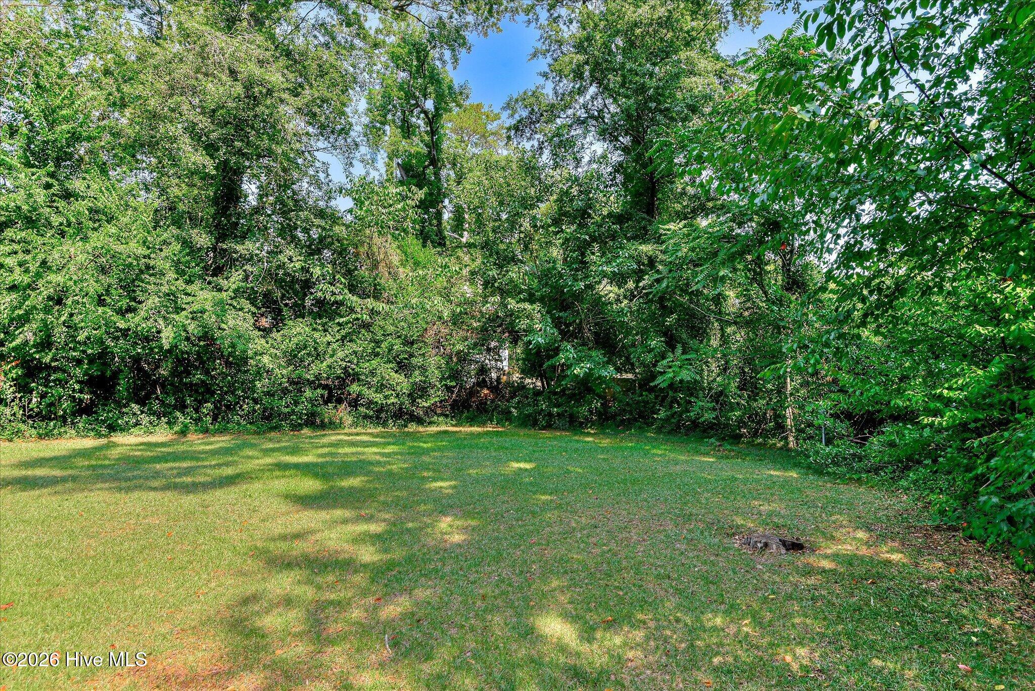 2823 Oakland Avenue Property Photo 31