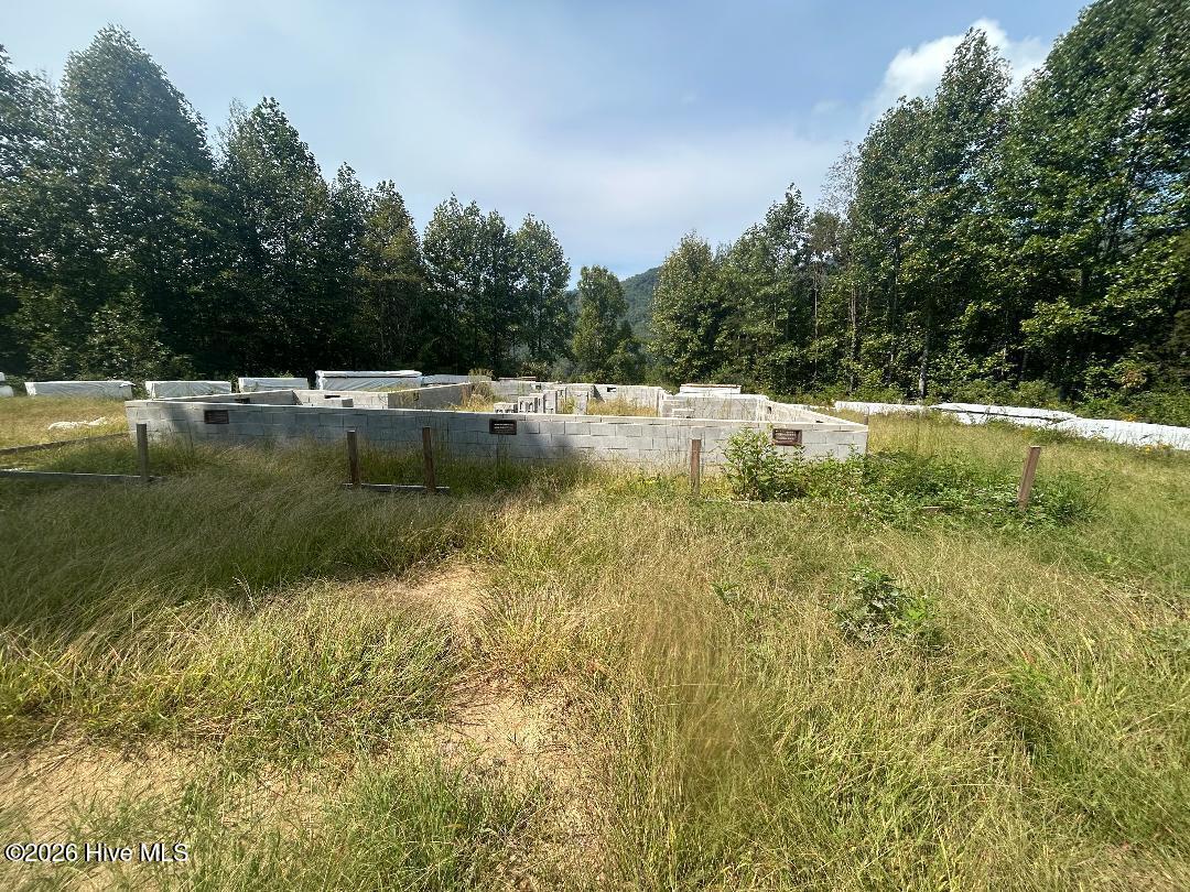 0 Santeetlah Heights Property Photo 2