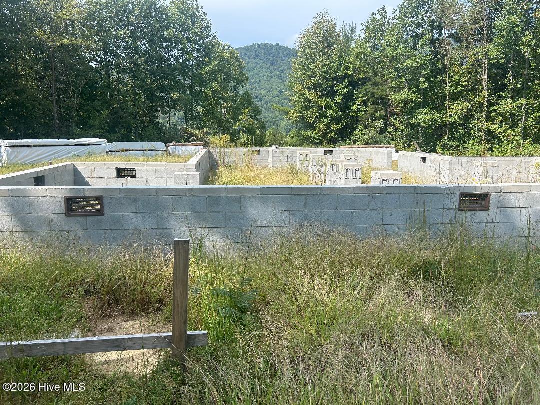 0 Santeetlah Heights Property Photo 3