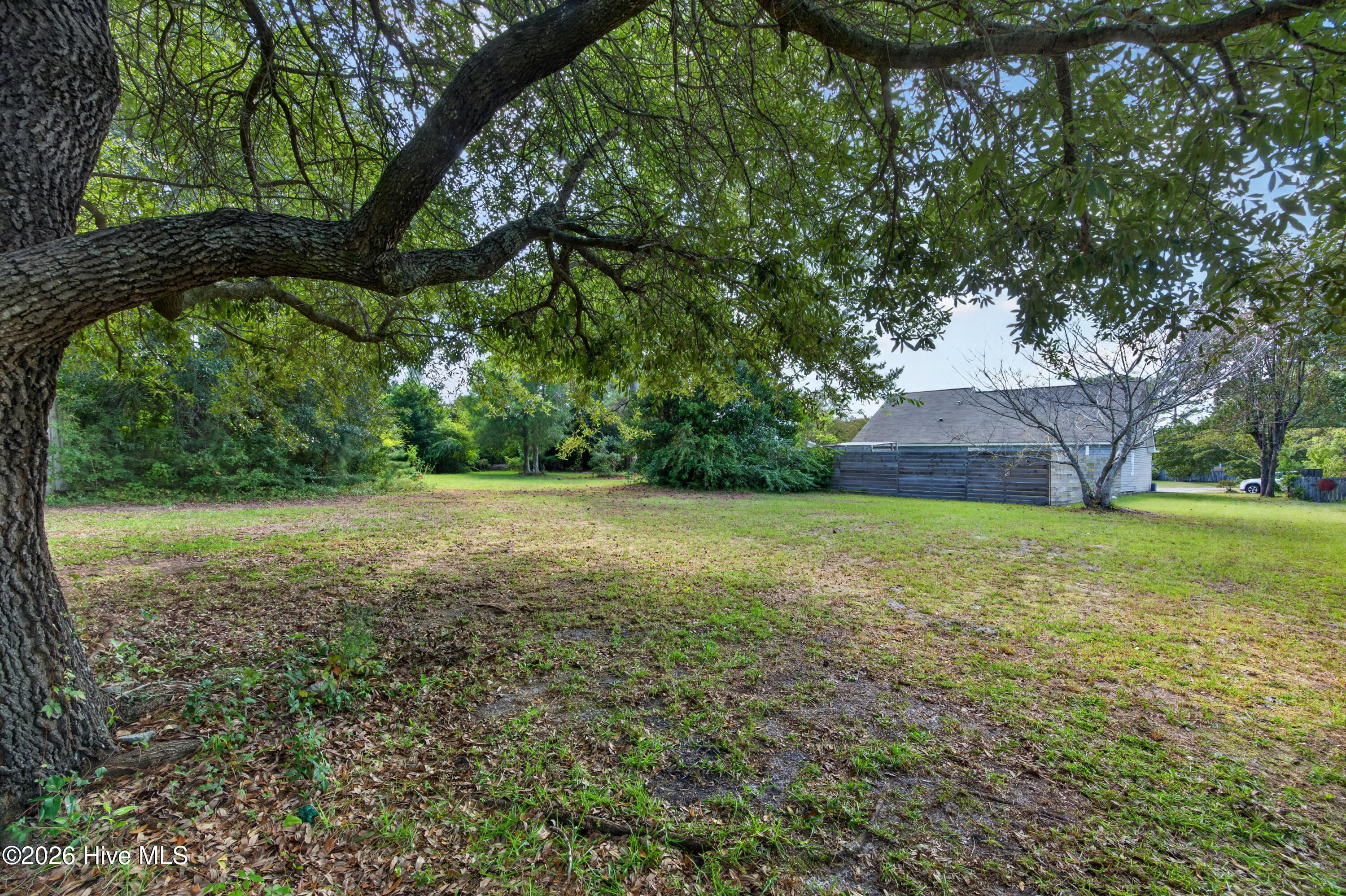 6517 Spicewood Street Property Photo 31