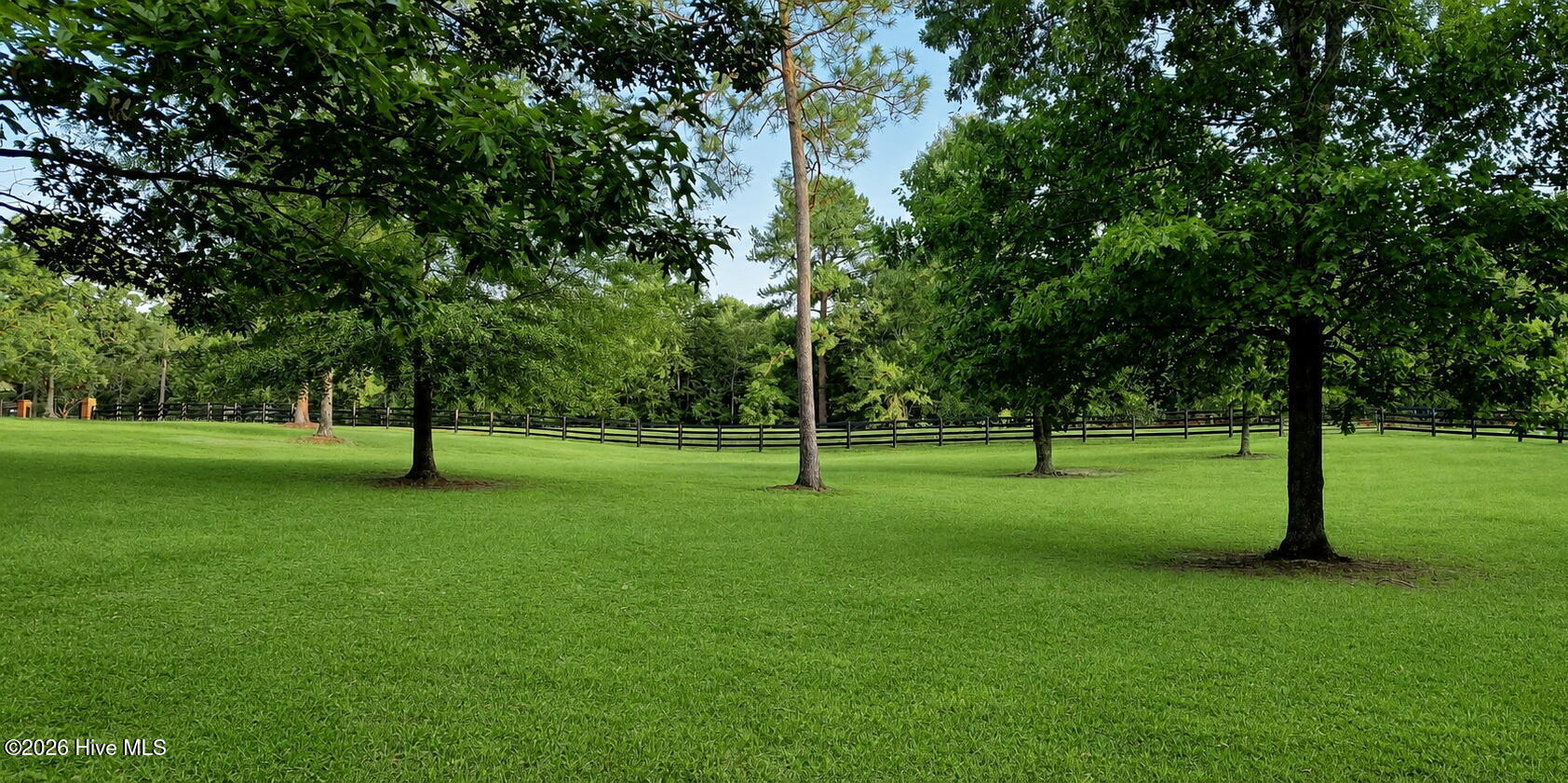 764 Blue Roan Court Property Photo 44