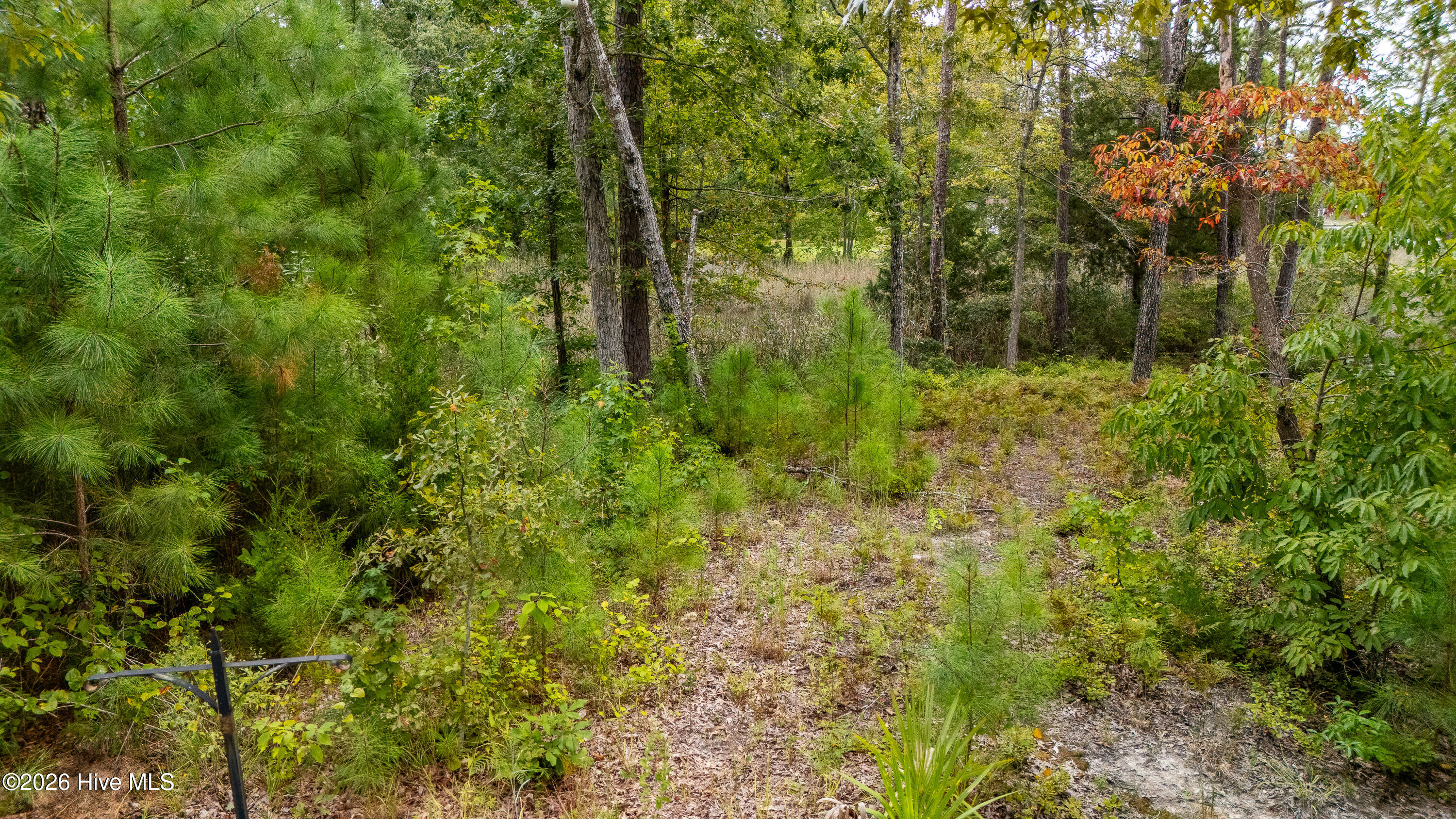 174 Marsh Run Property Photo 49
